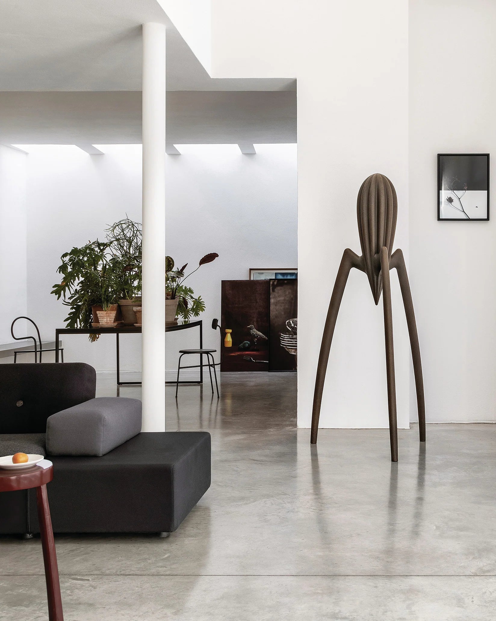 Dekorace JUICY SALIF XXL hnědá