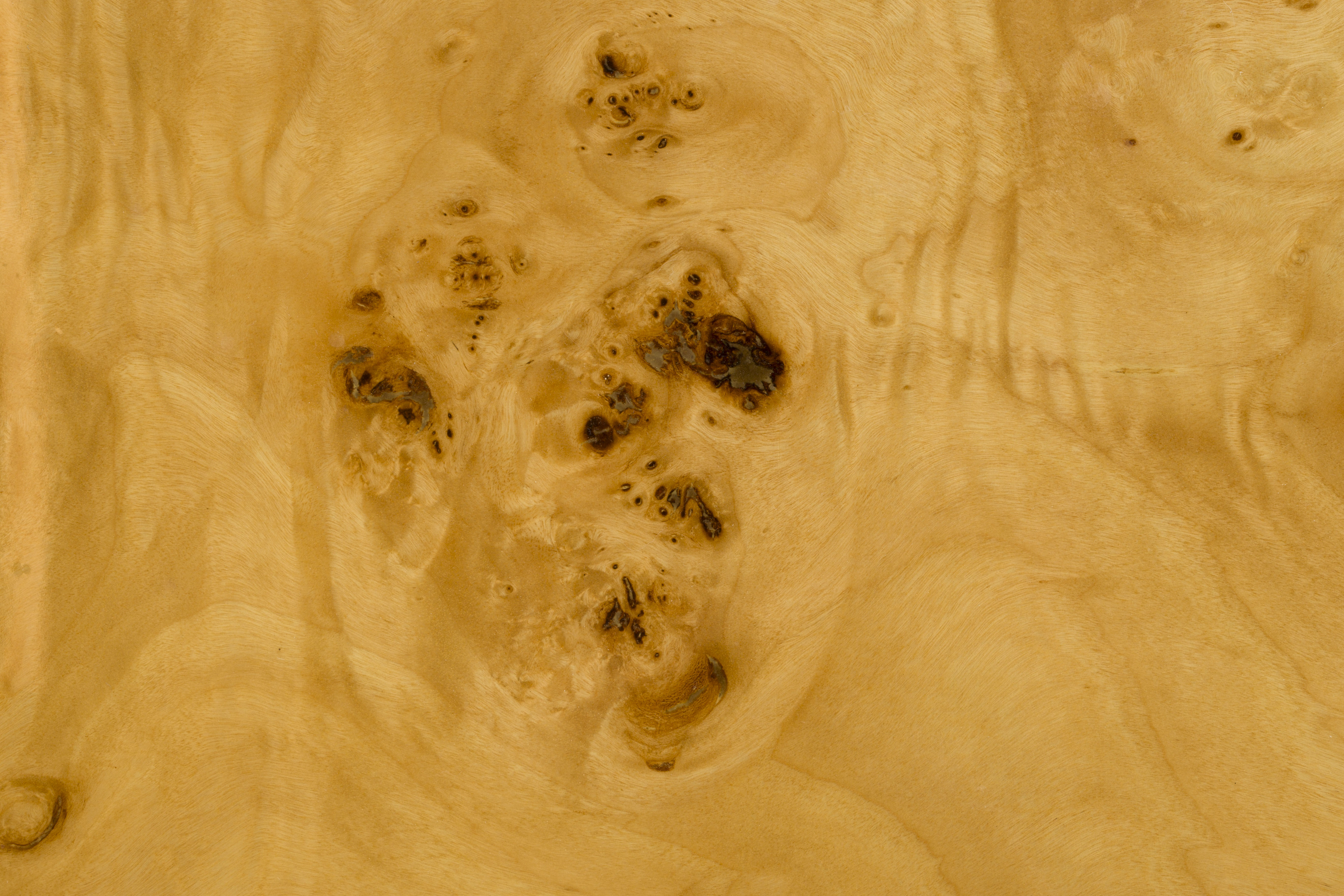 QUINN coffee table walnut veneer with walnut burl