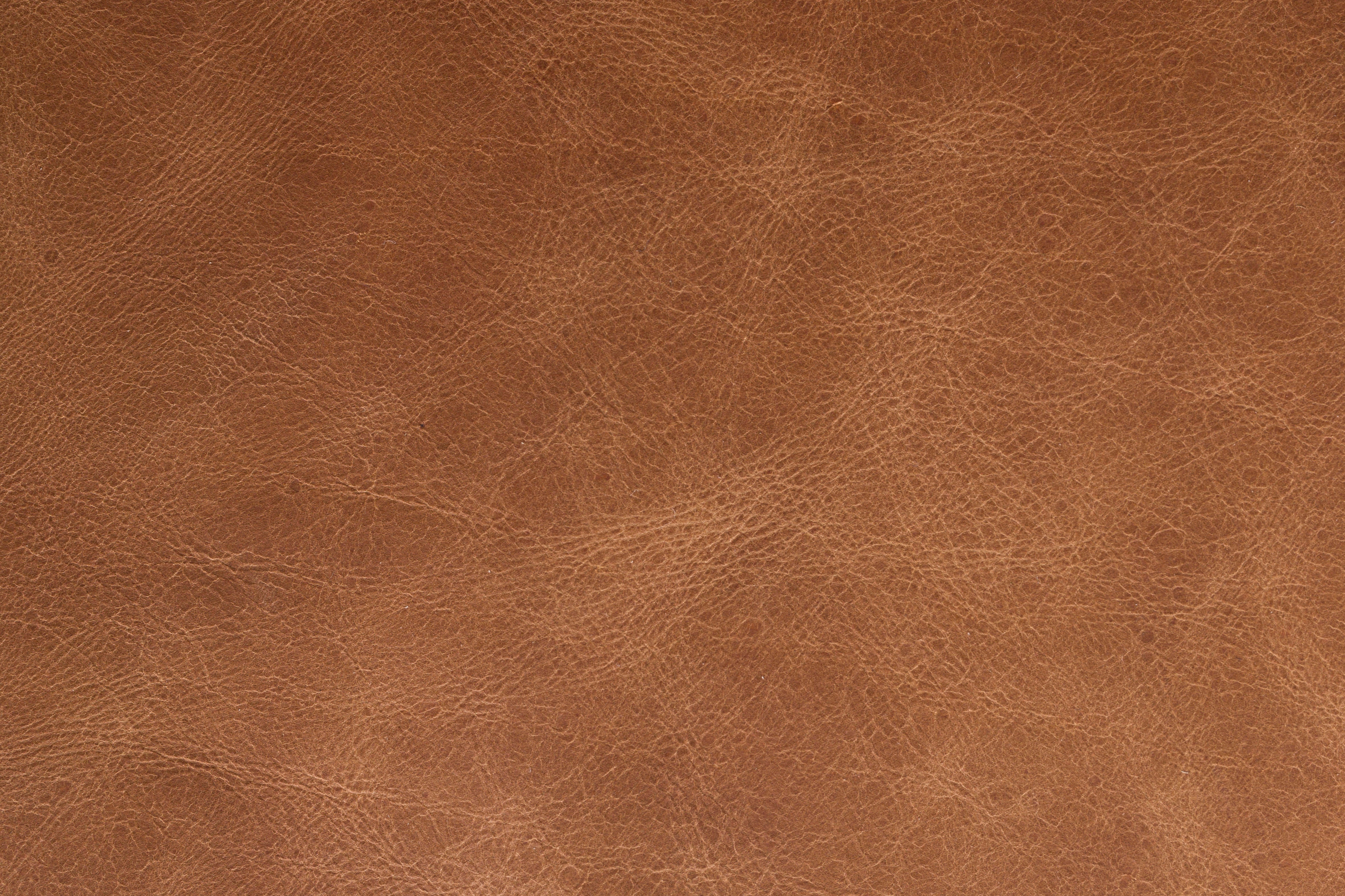 Sofa DOUGLAS z koňakové kůže