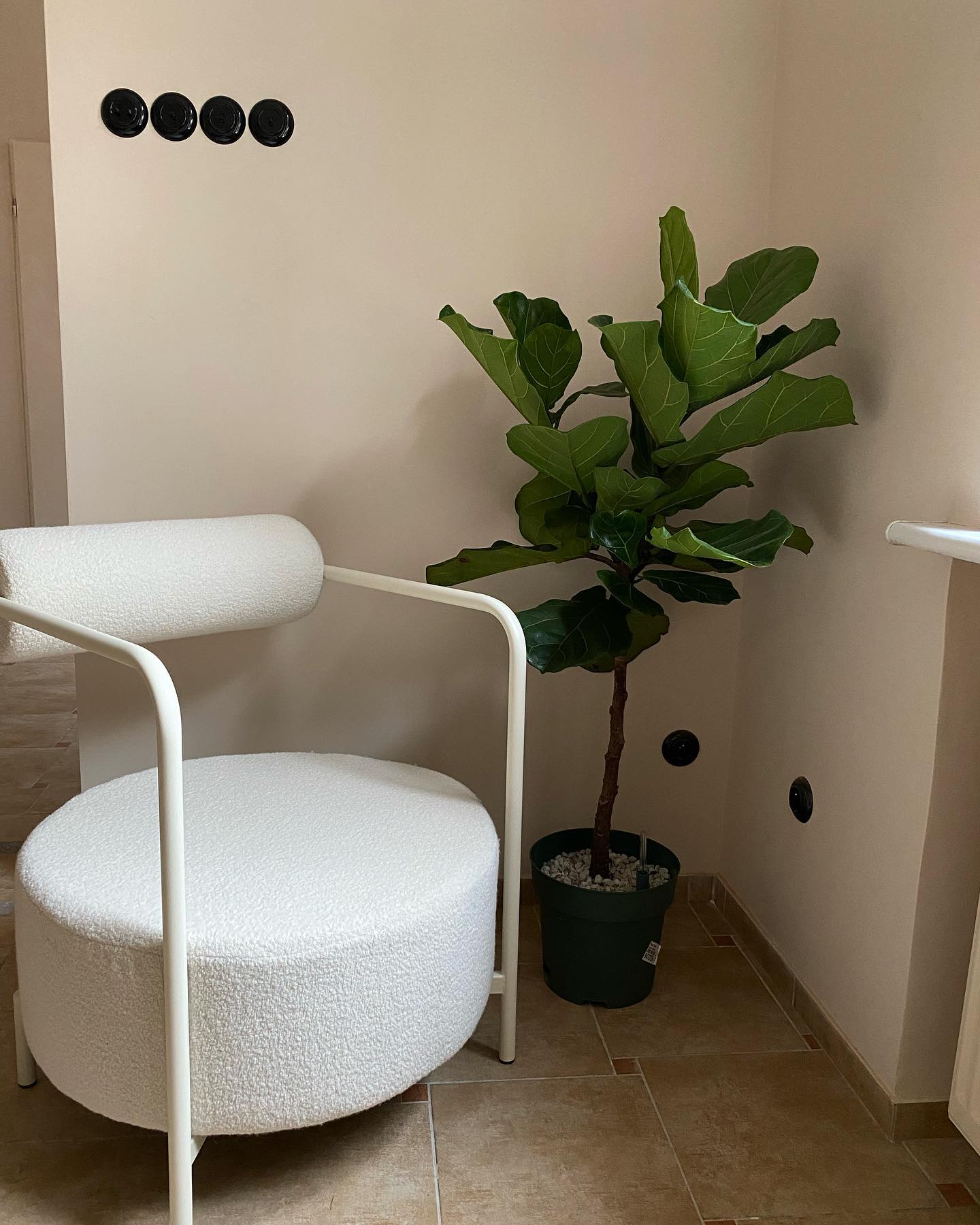 Křeslo SAFFRON čalouněné