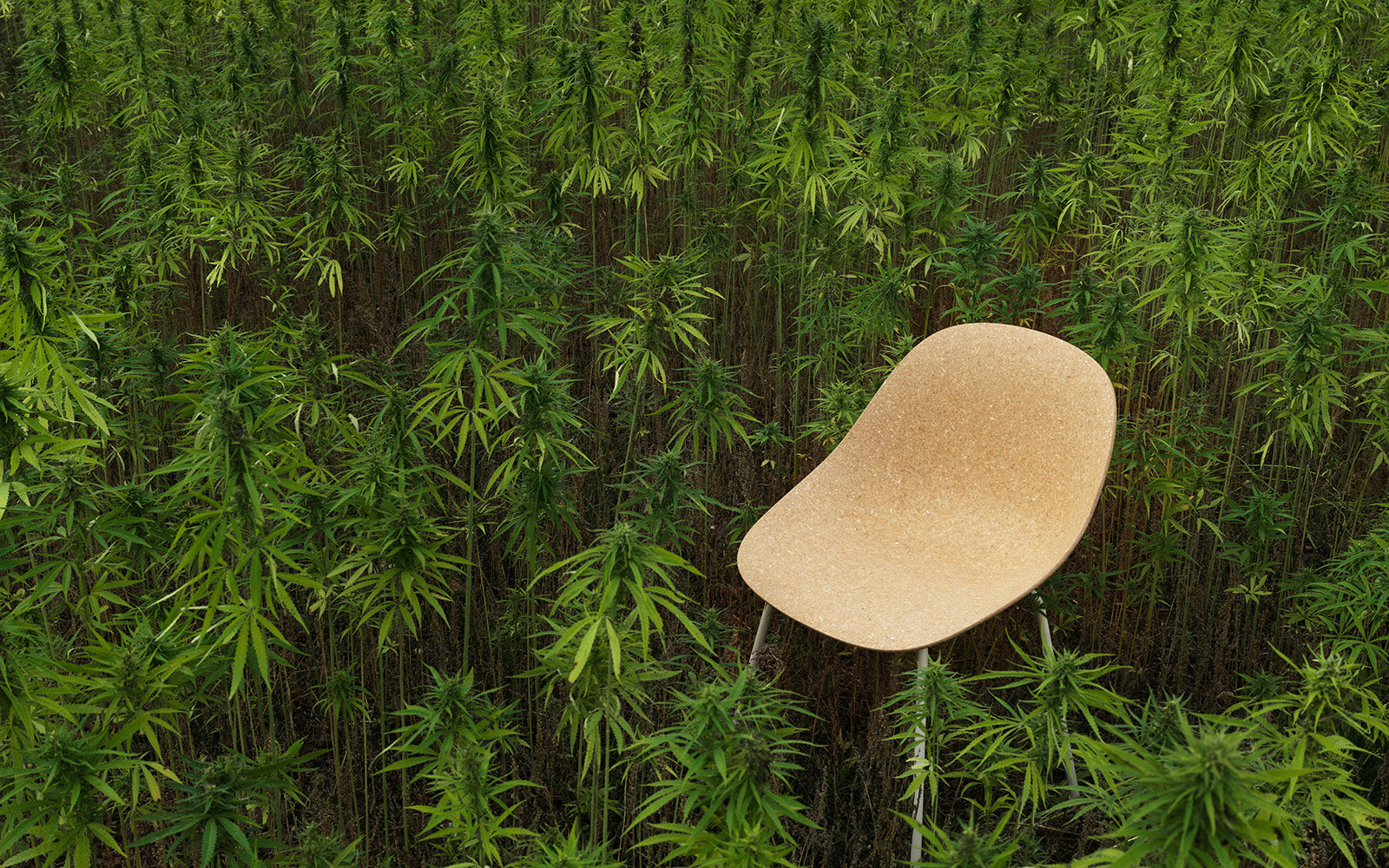 Židle MAT béžová s bukovou základnou