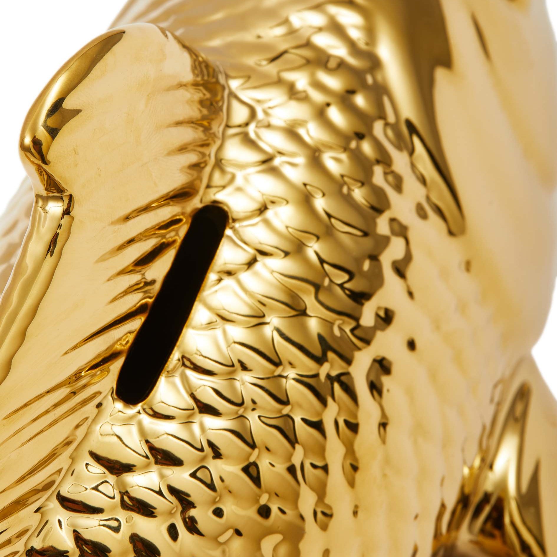 Penízovka RYBA zlatá