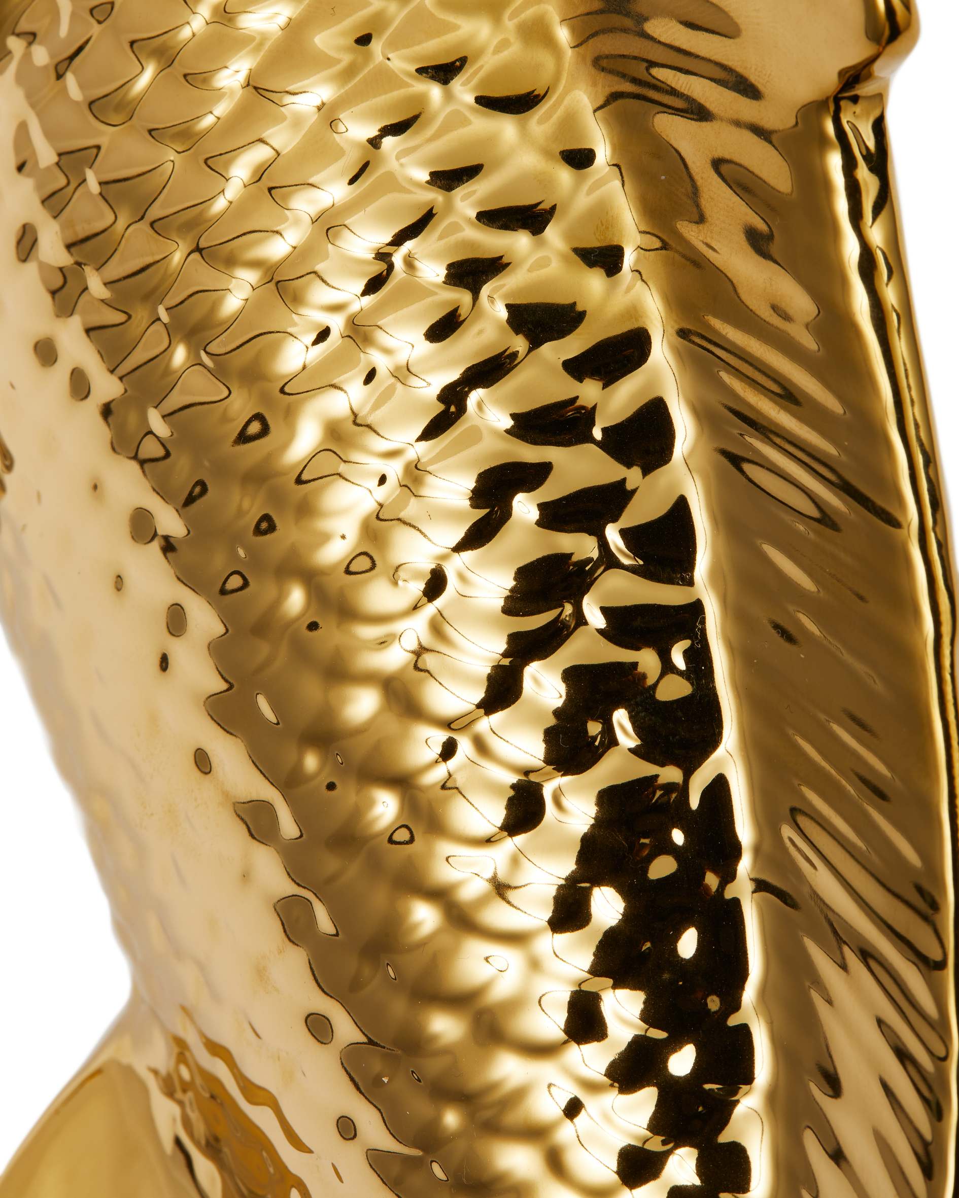 Penízovka RYBA zlatá