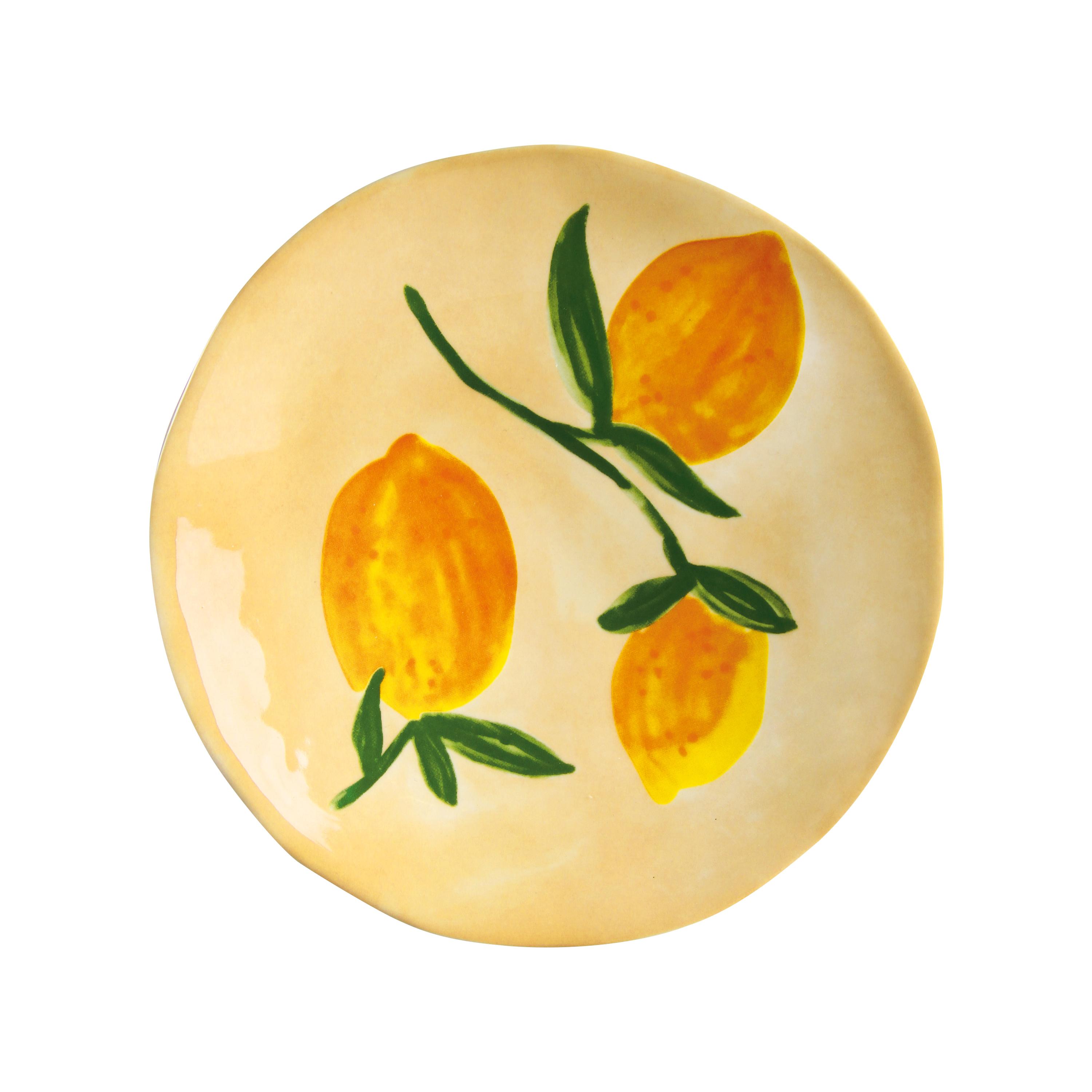 LEMON FULL Colorful Stoneware Plate Set