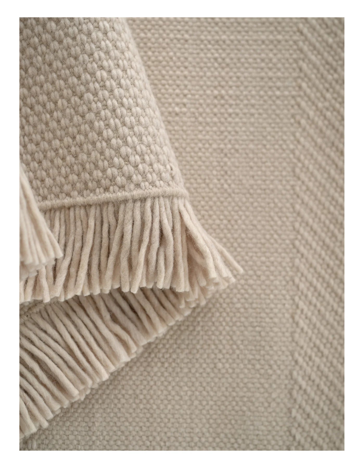 SILENT PATH beige rug