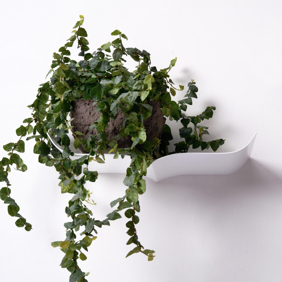 NORI shelf white