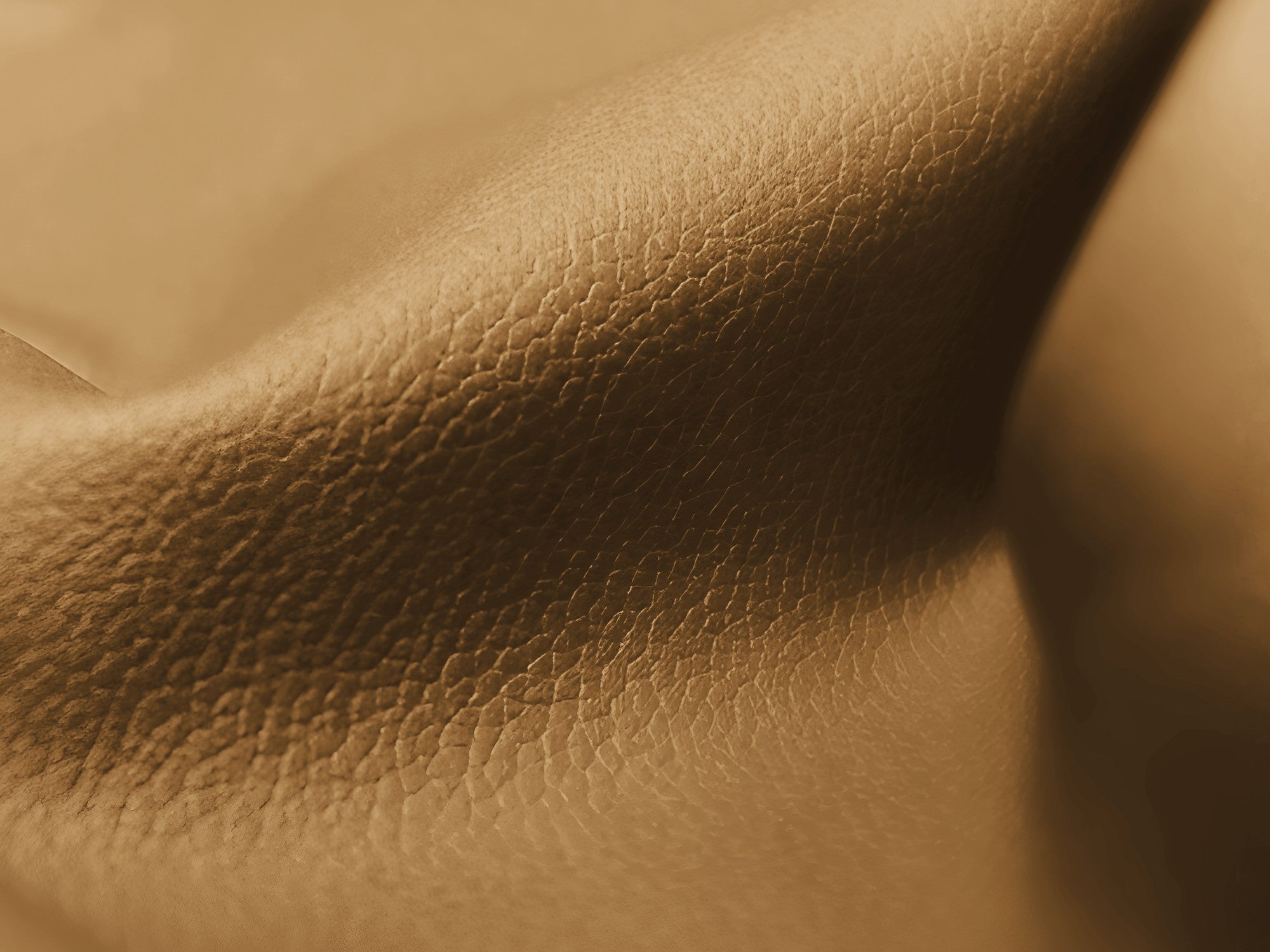 Modulární panoramatický roh ALOHA z karamelové ekologické kůže