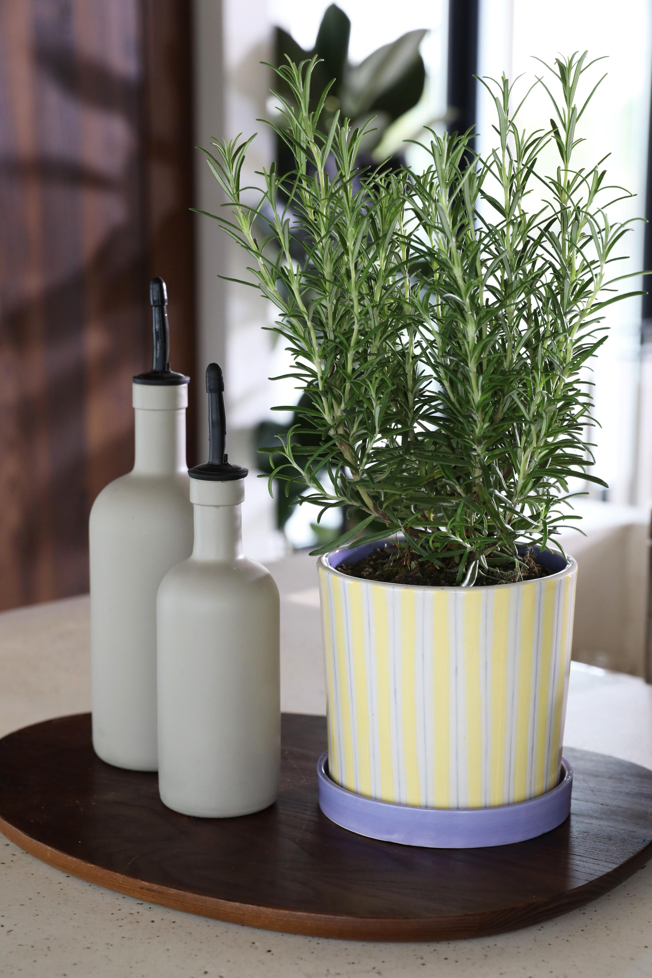 Květináč RAY žlutý s fialovým