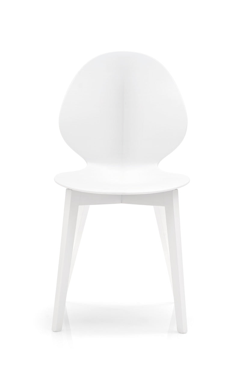 BASIL Chair with White Seat and White Wooden Base