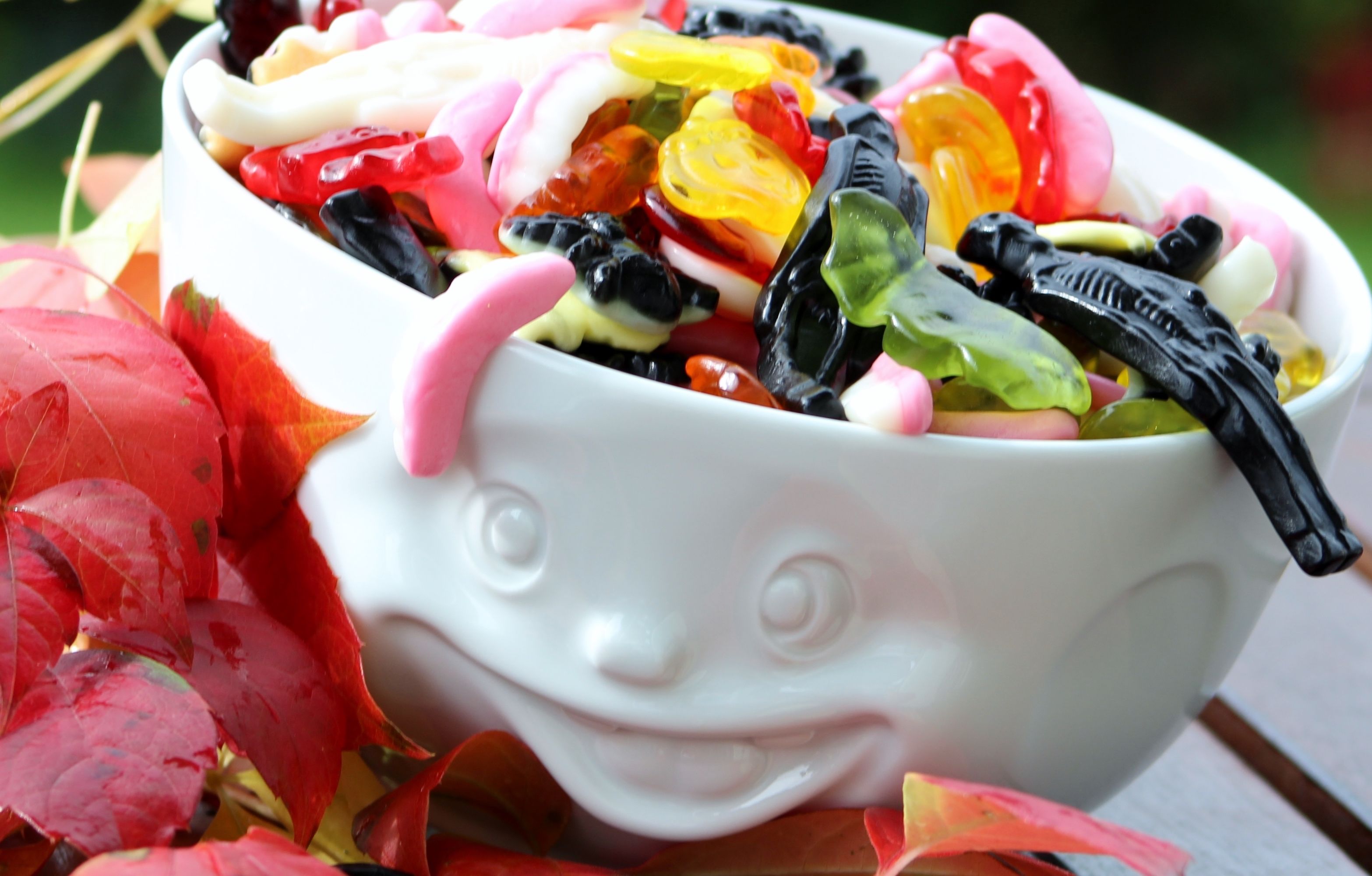 Miska MIMO KONTROLY bílá