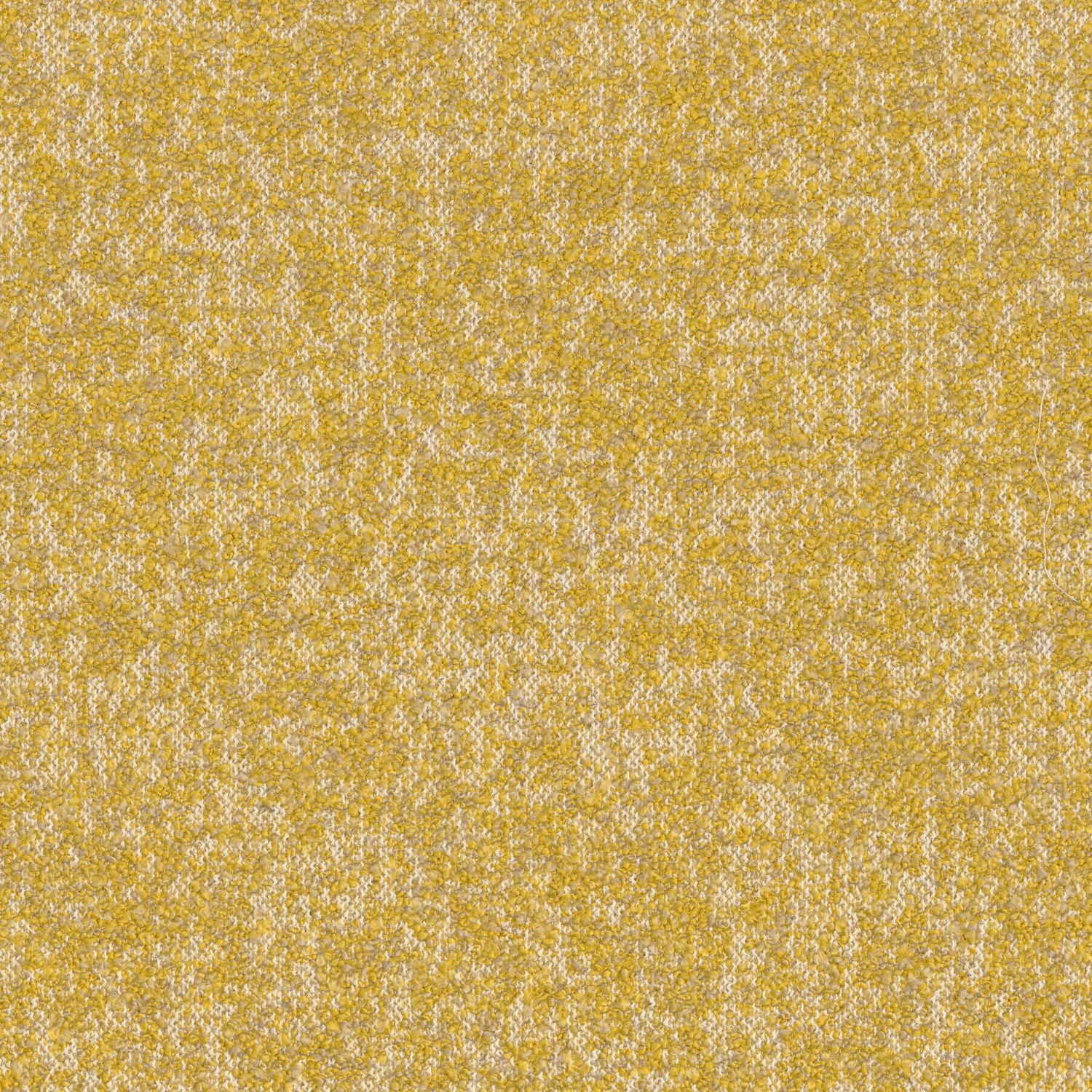 Tapeta tekstylna strukturalna boucle EXQUIS - MOUTARDE musztardowy – Casamance