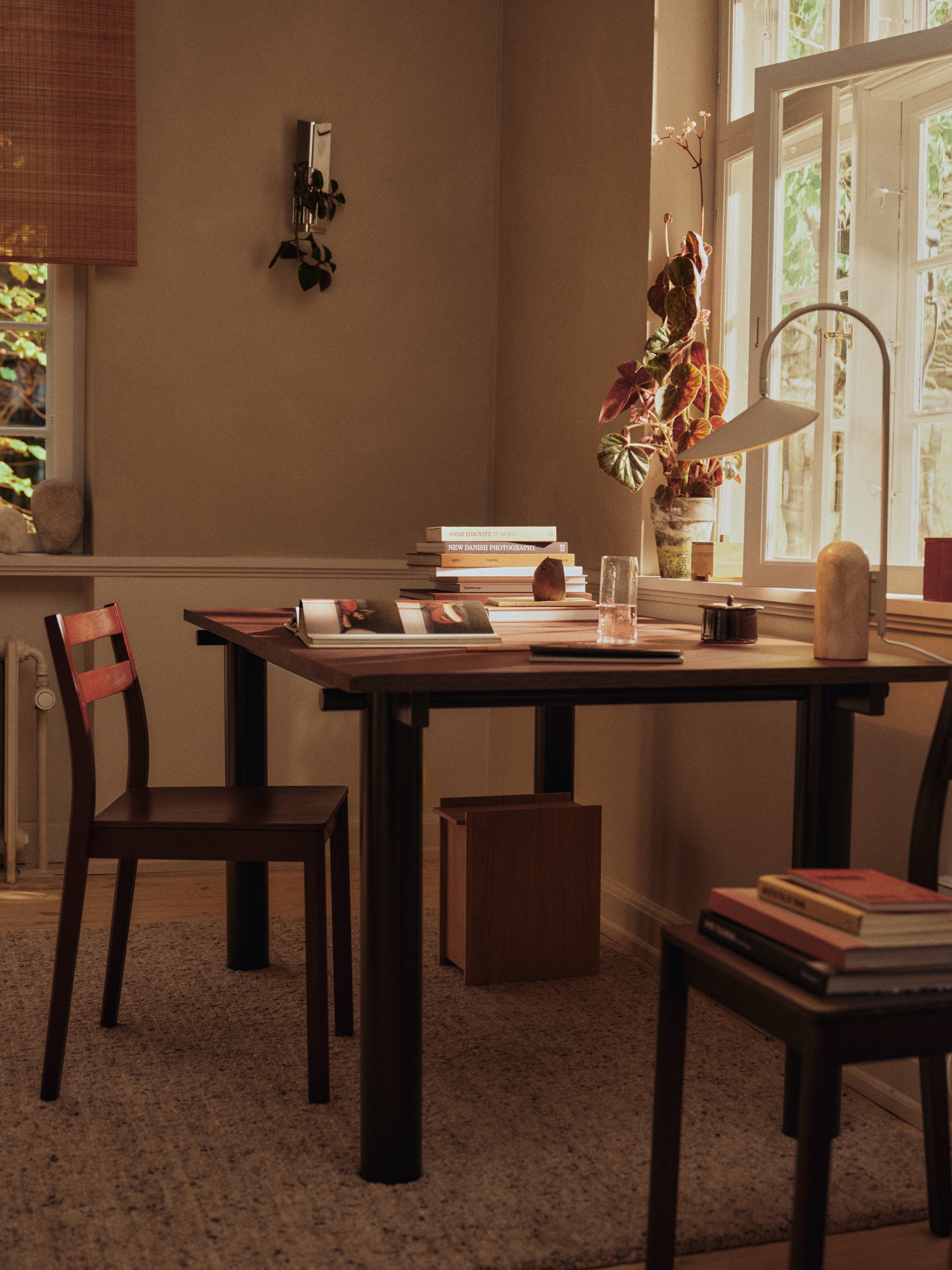 Židle BODA černý dubový dýha