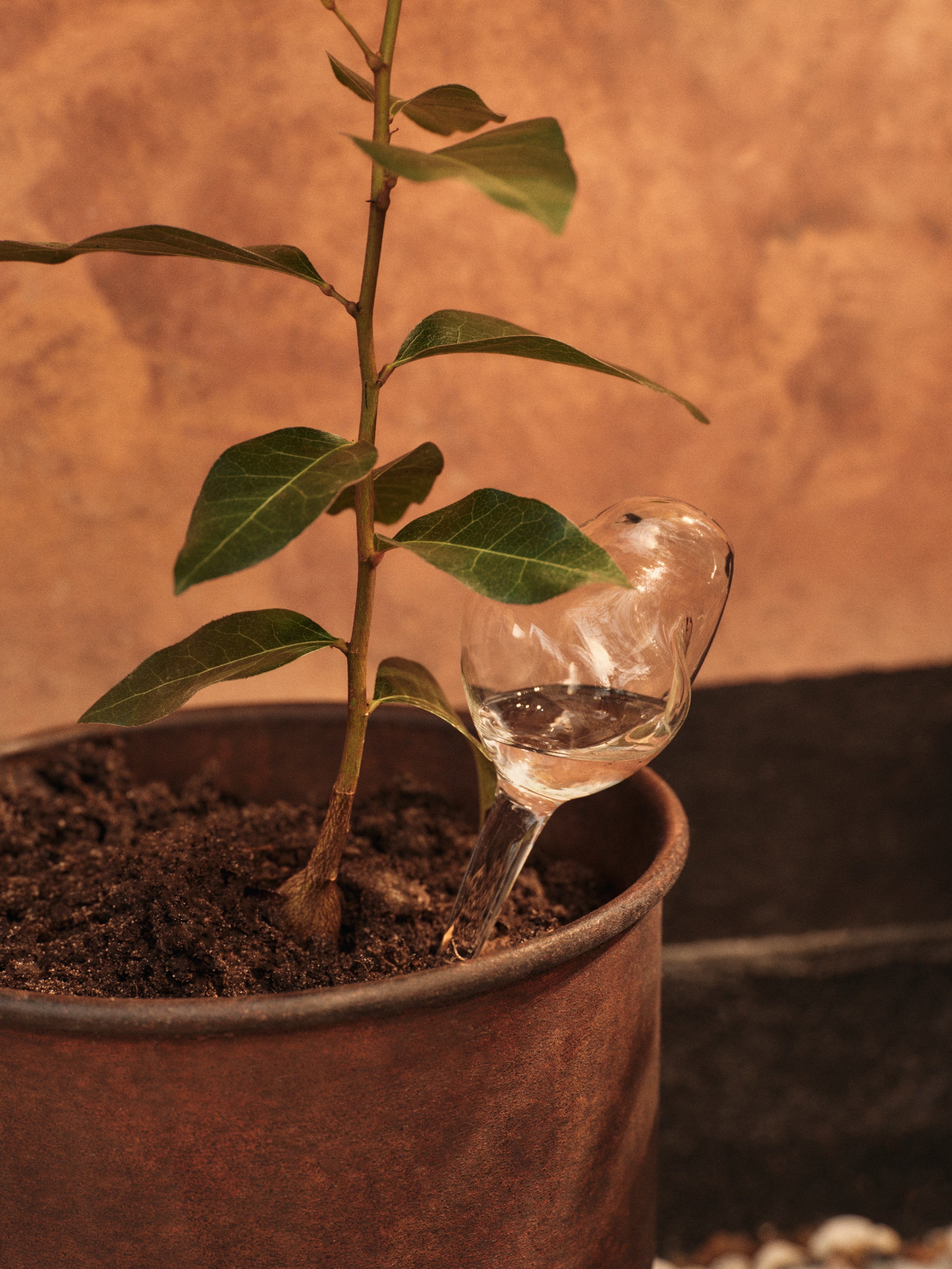 MERCURY Glass Irrigation Ball Set