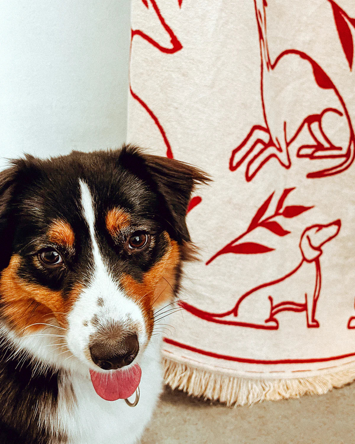 Koc PAWFECT pískový béžový a bordový