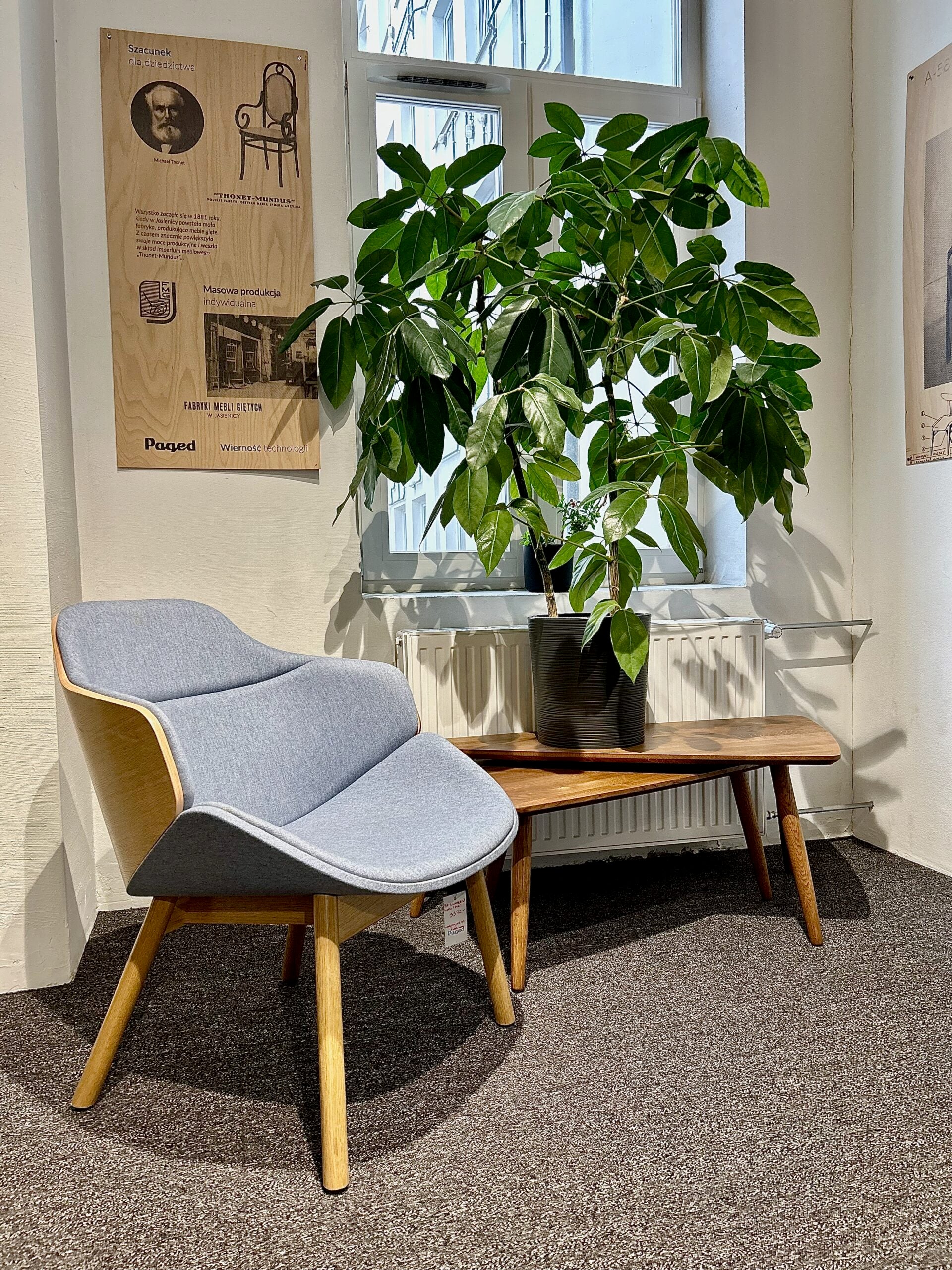 Křeslo ARIA M-5350 čalouněné