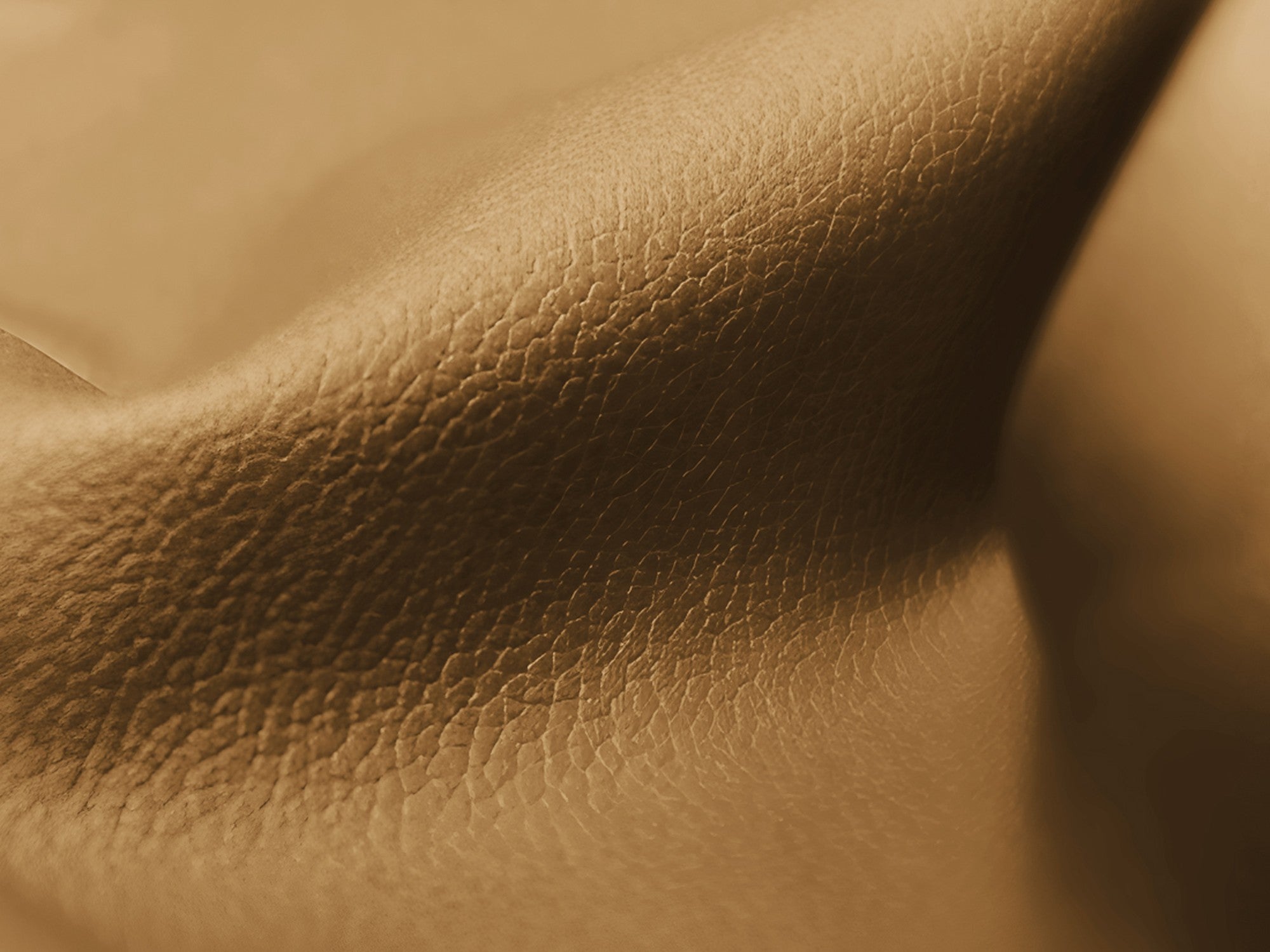 Modulární pohovka pro 3 osoby LOKUA karamelová ekologická kůže