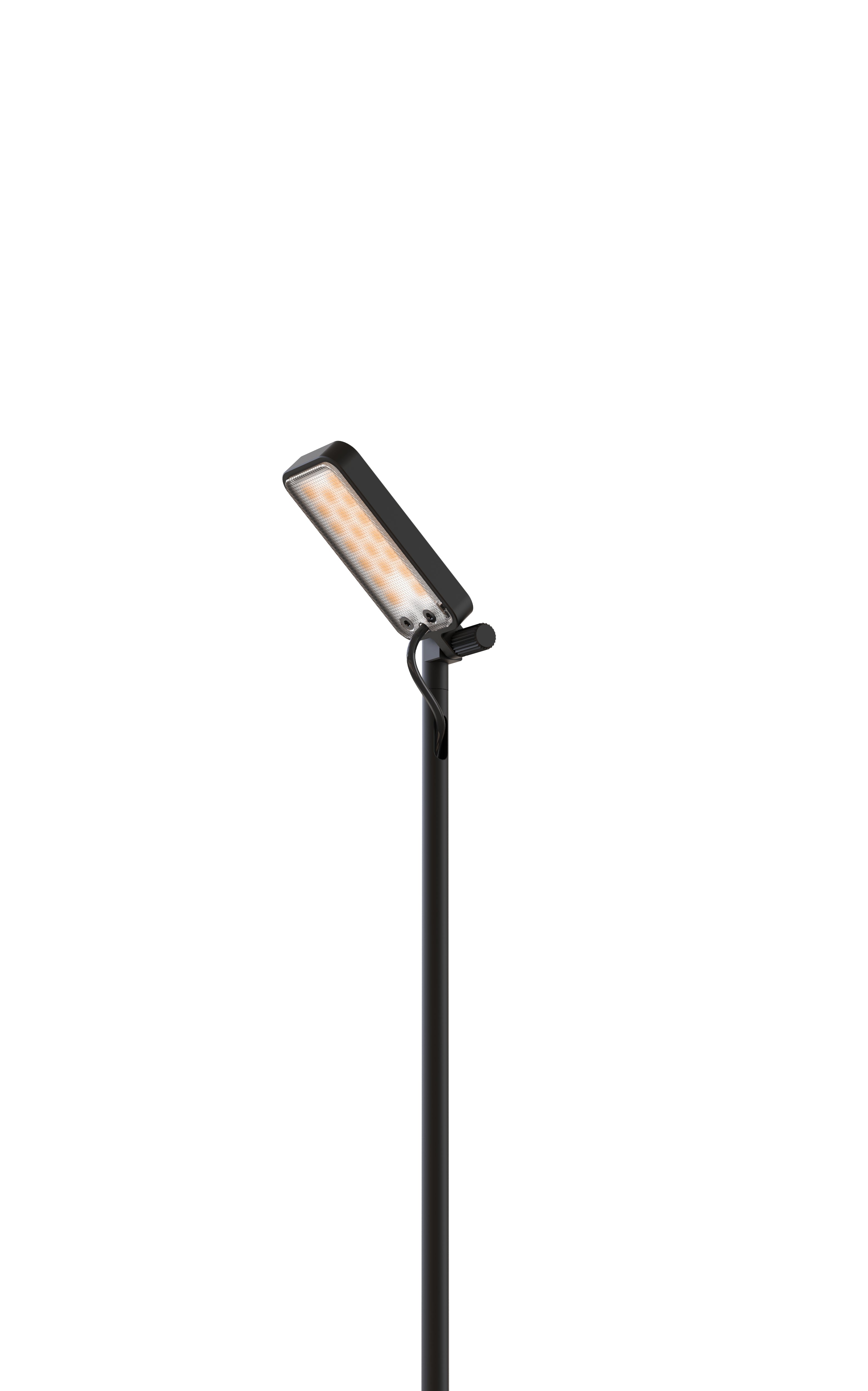 FLIA black multi-arm outdoor floor lamp