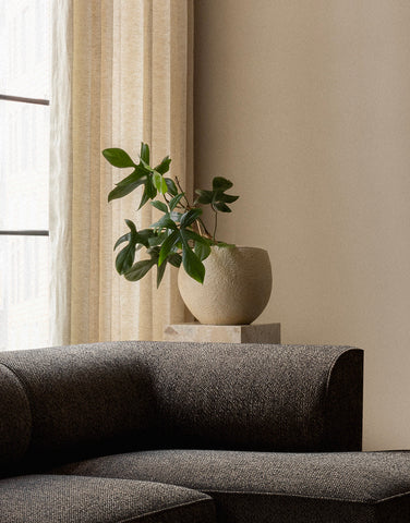 PLANTAS planter