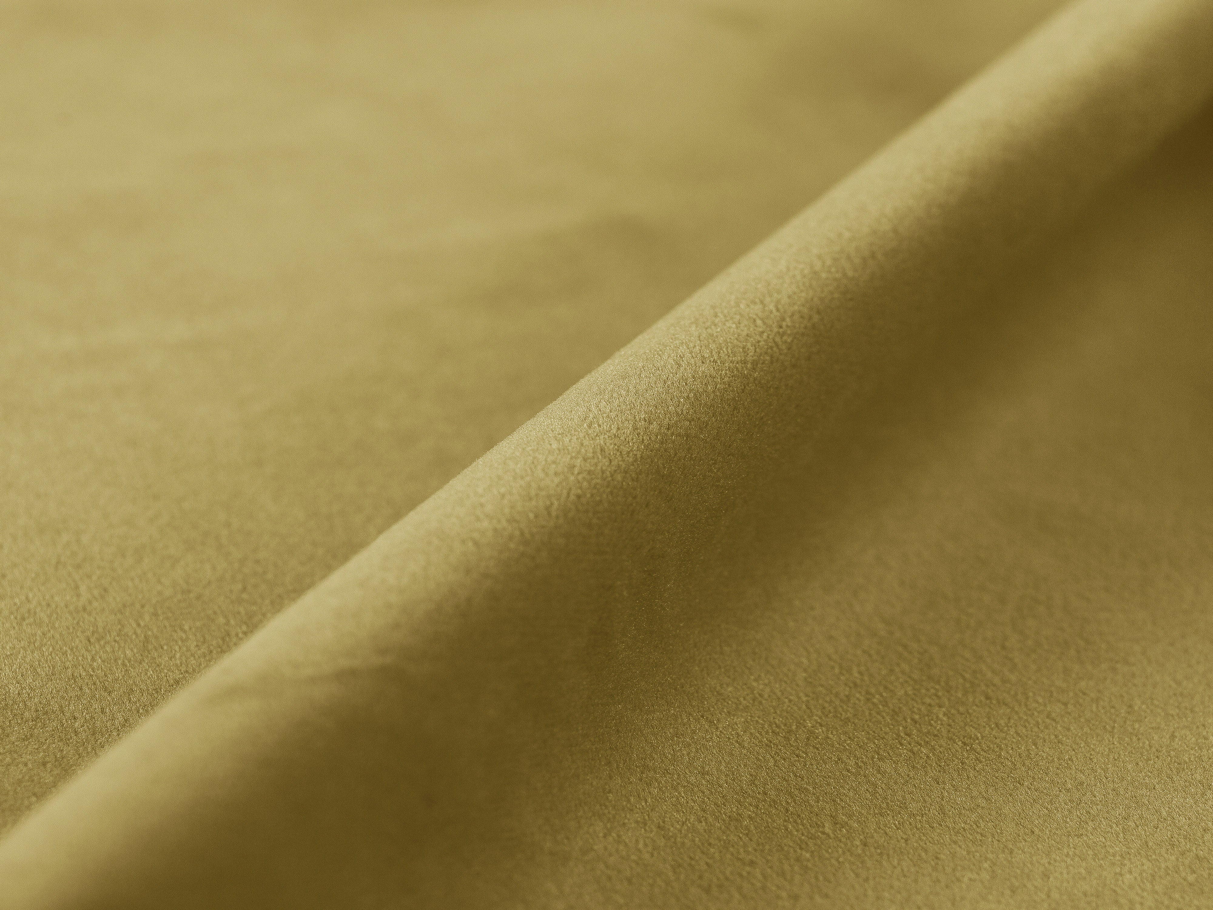 Velvet Bed LUPINE Yellow