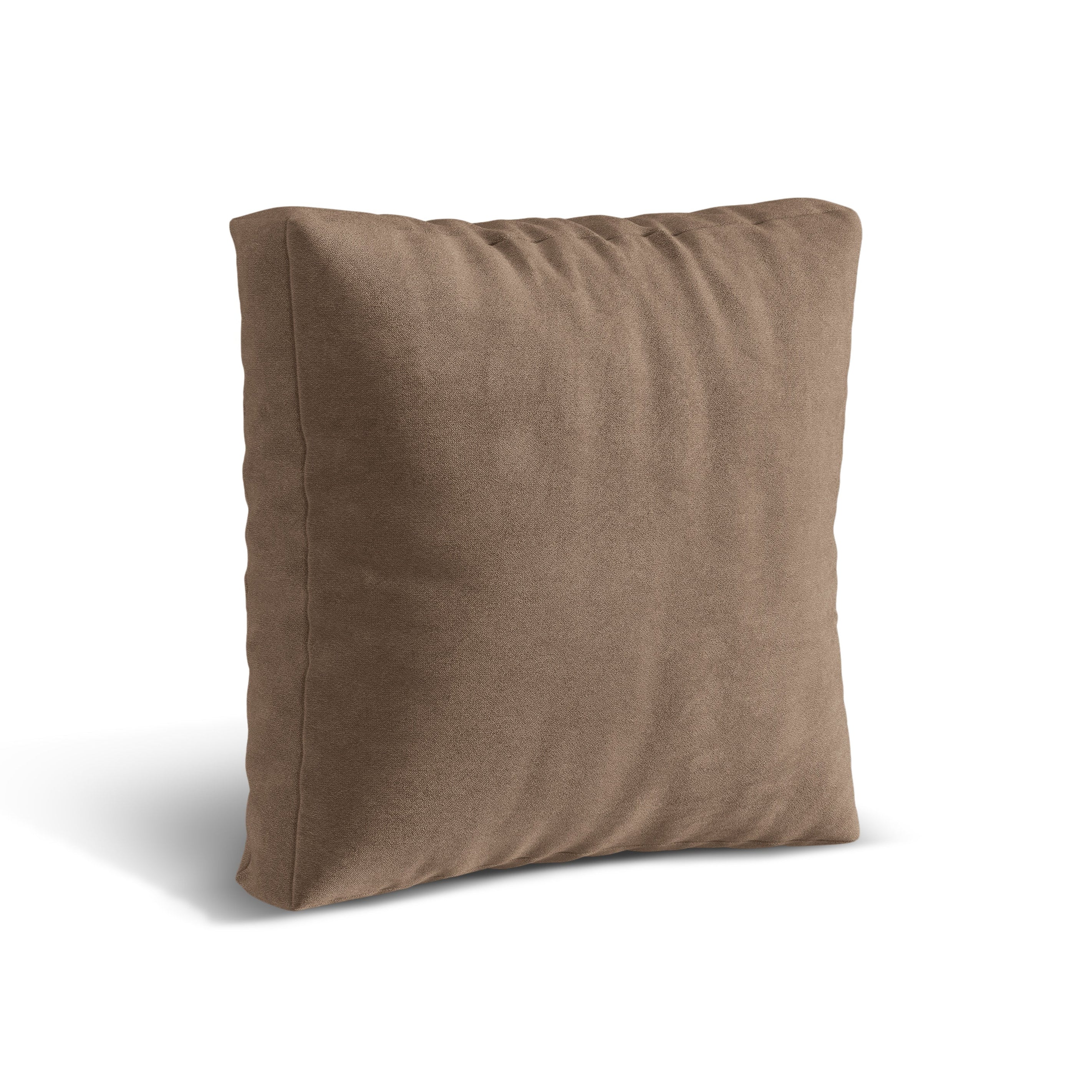 Martin's velvet cushion