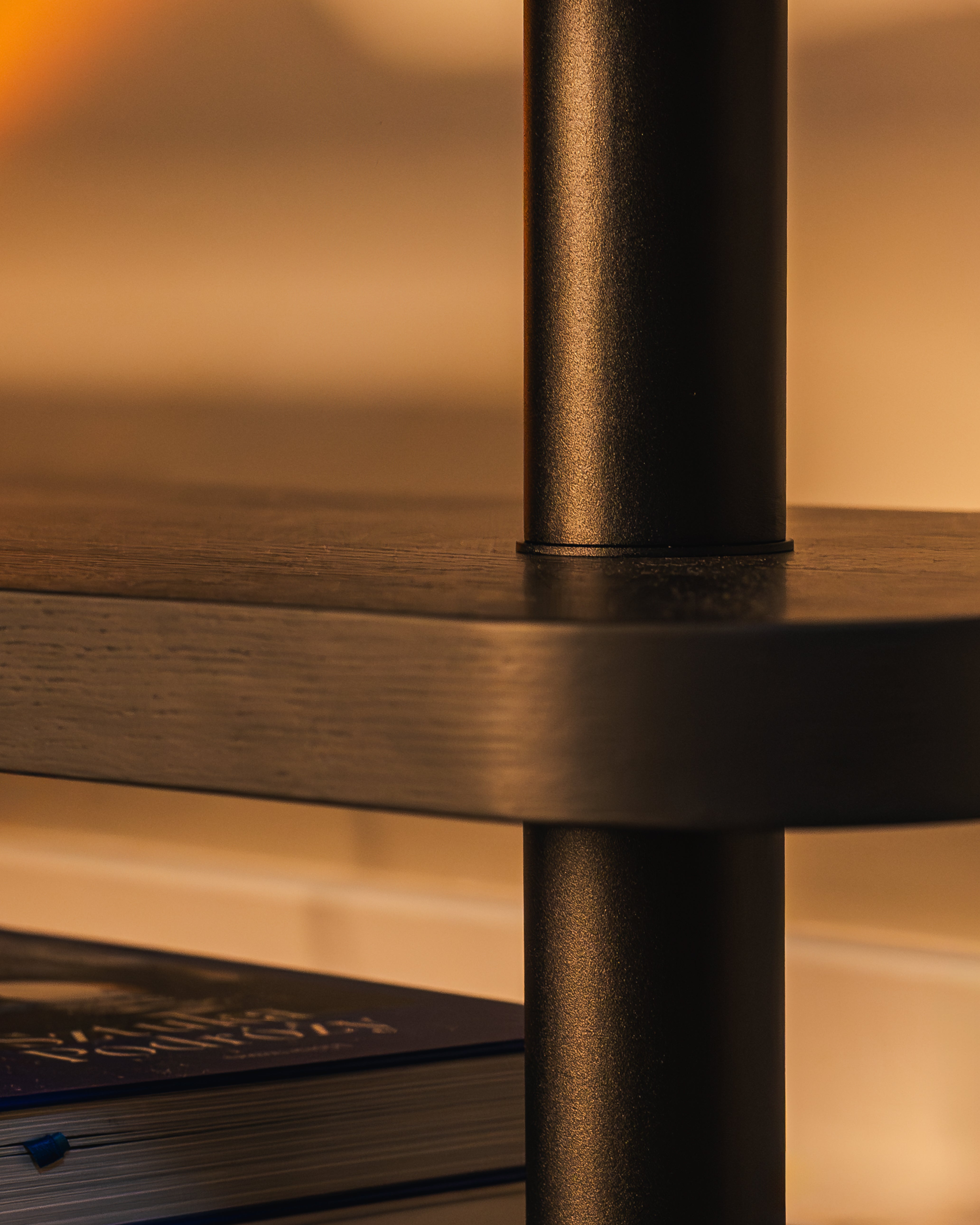 MOD black raven veneer shelf with black elements