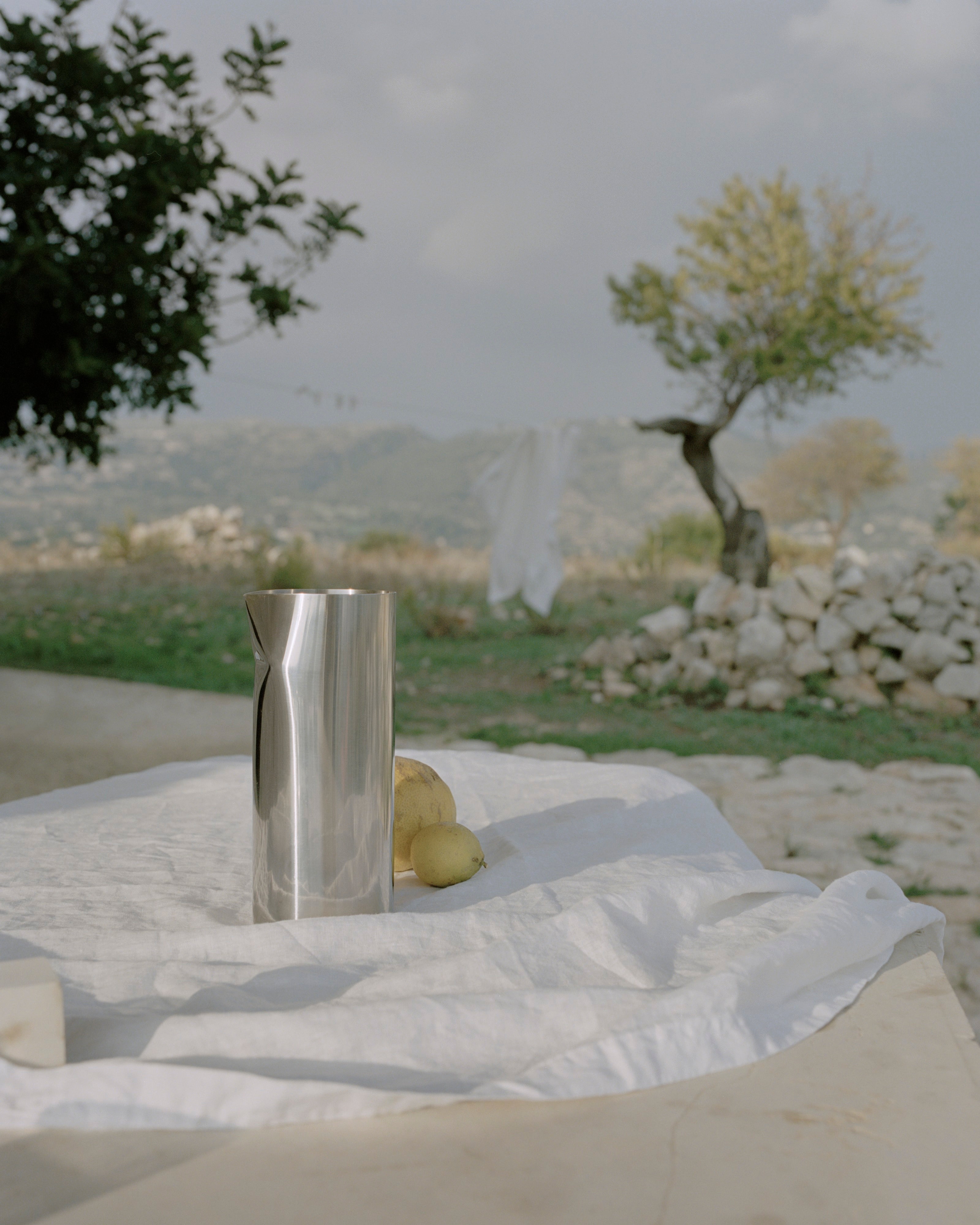 PLEAT Silver Vase