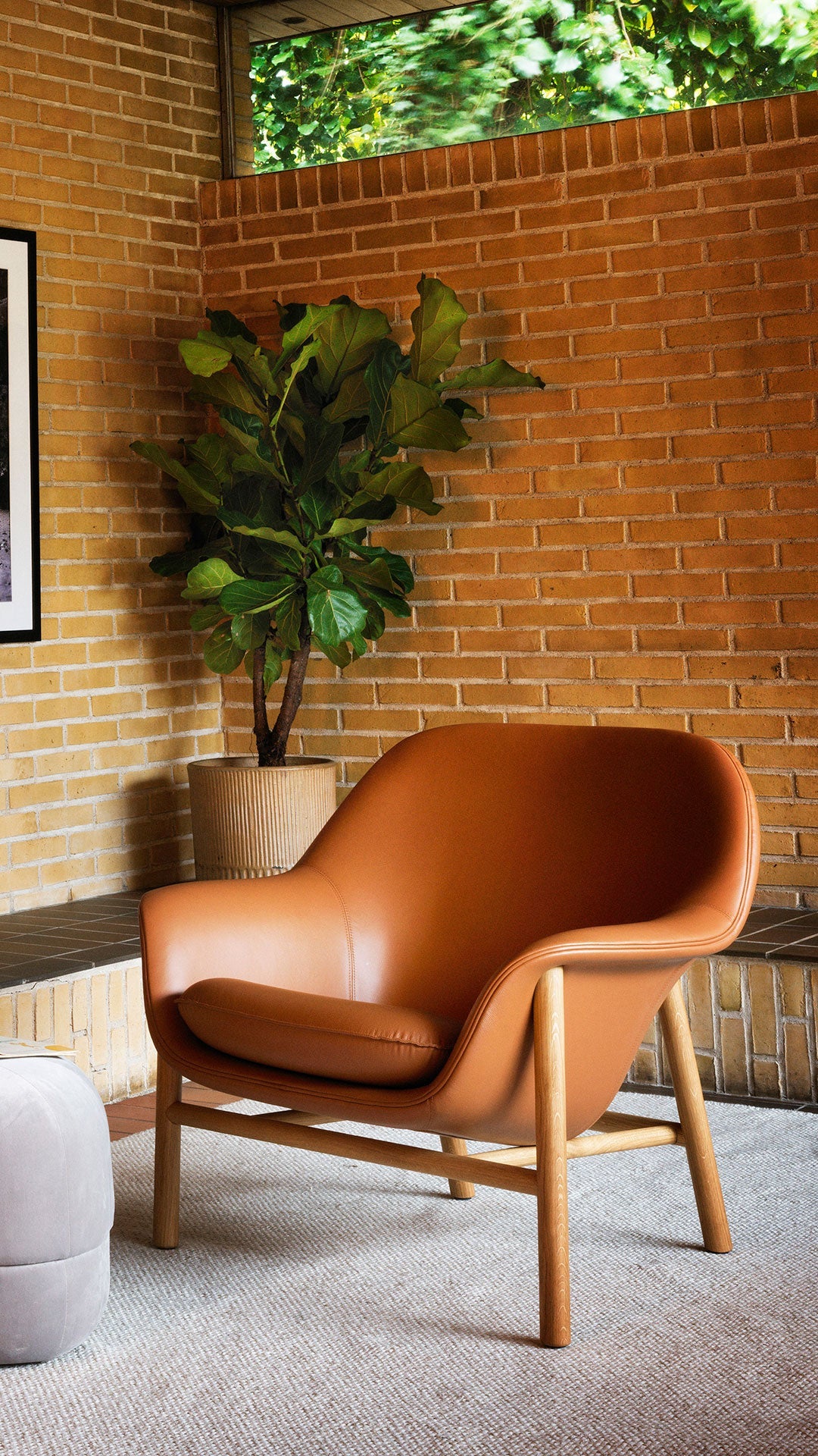 Drape Low armchair with an oak base