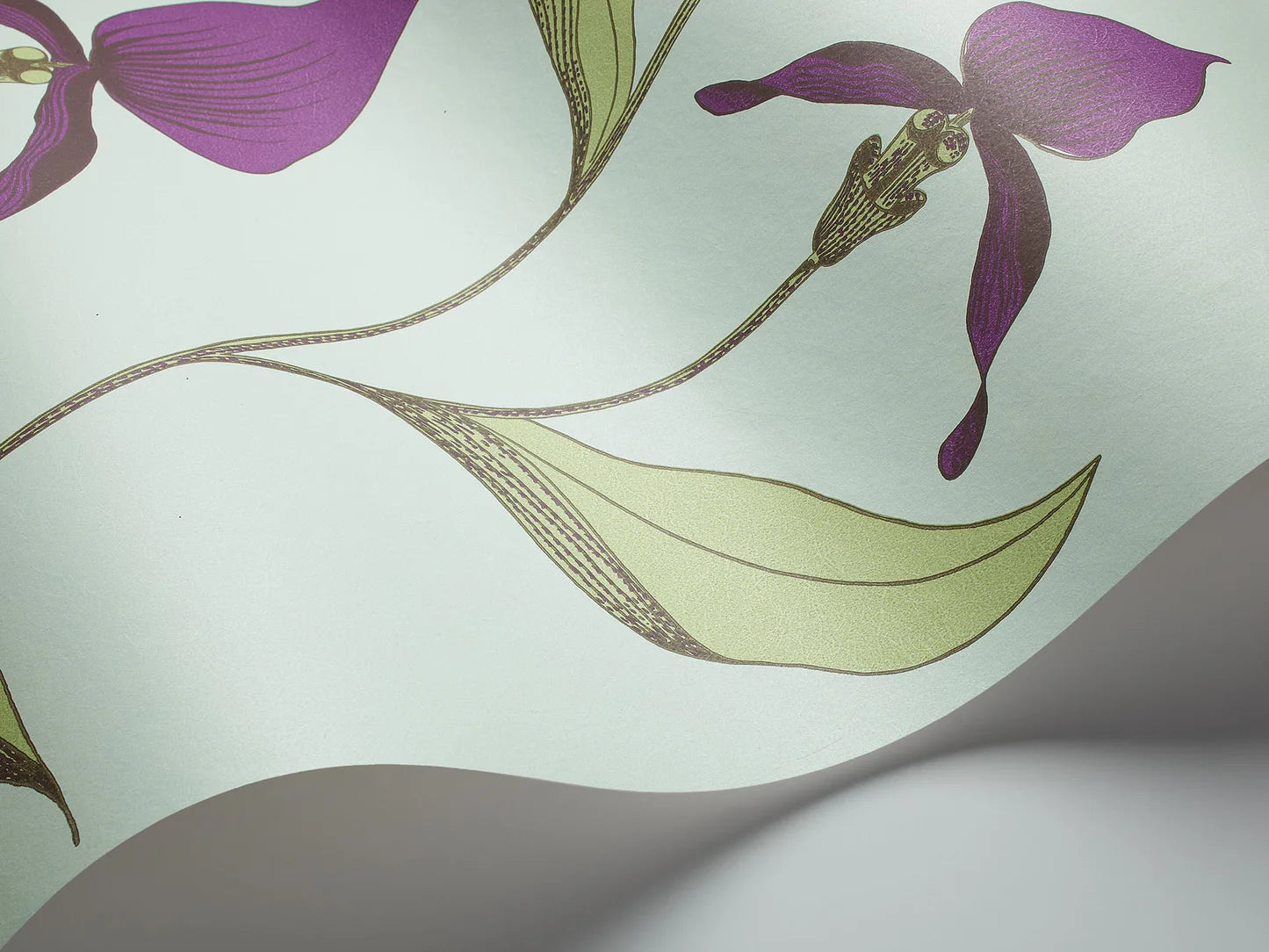 Wallpaper with a plant motif of orchid flowers CONTEMPORARY COLLECTION - ORCHID purple with green