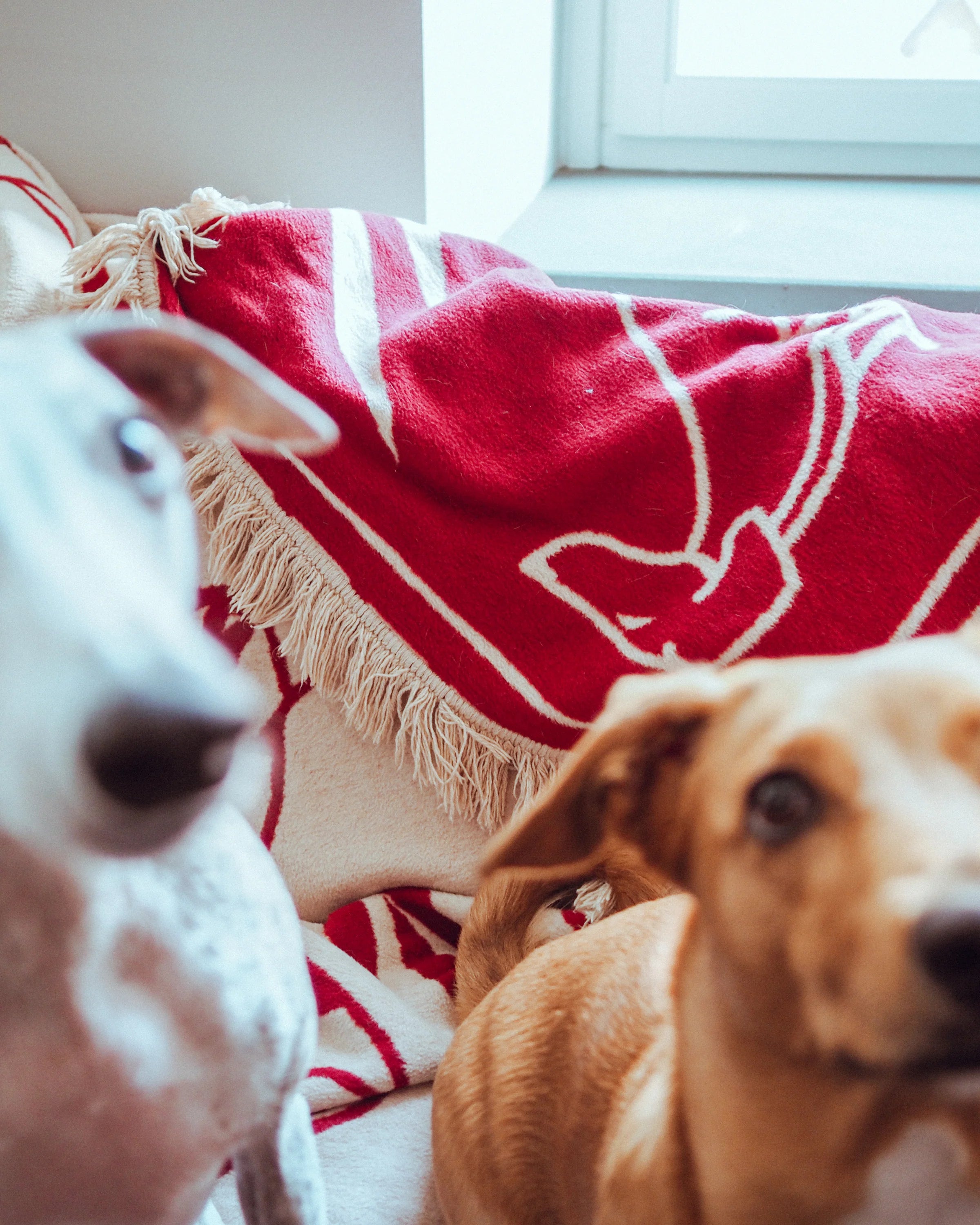 Koc PAWFECT pískový béžový a bordový