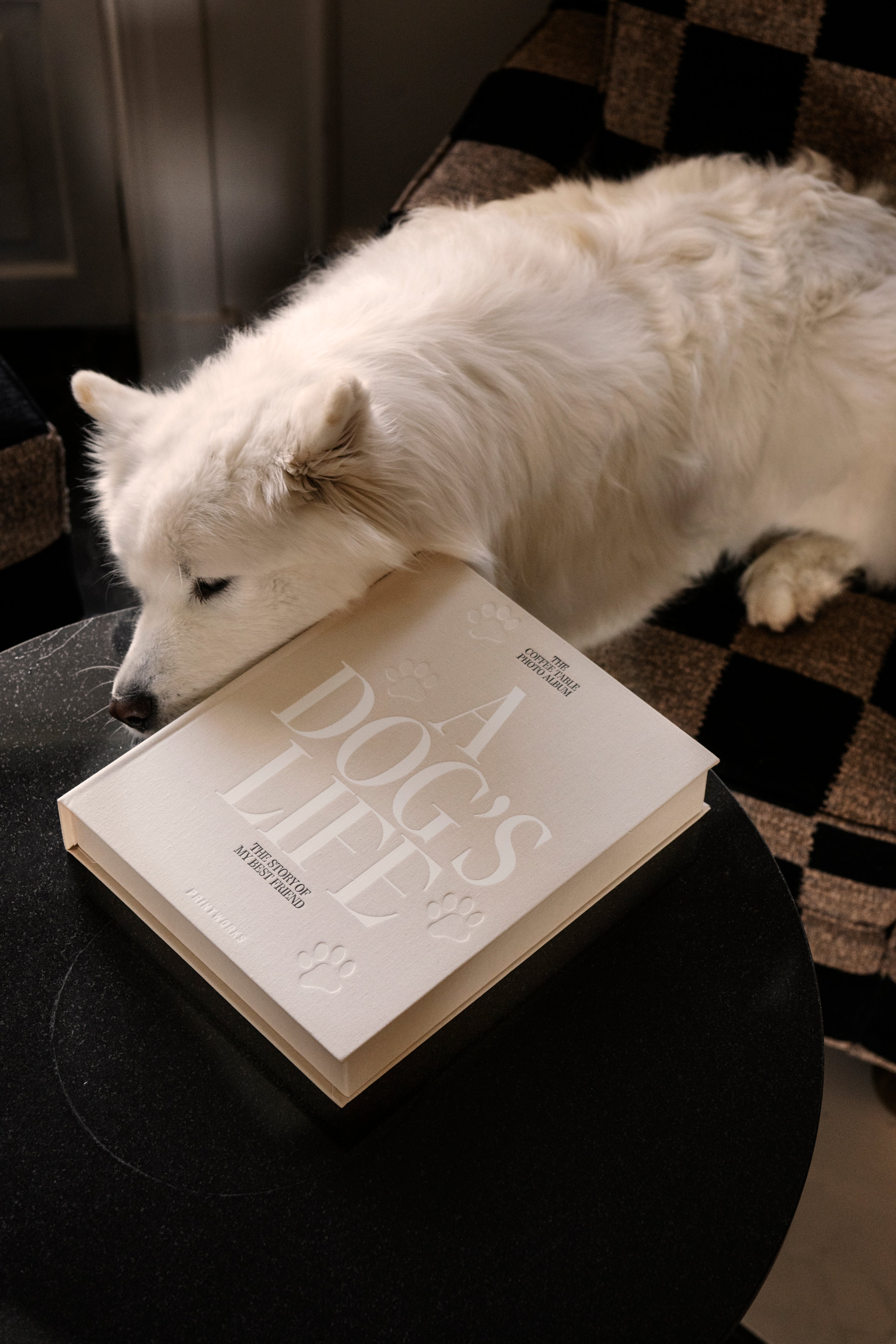 A DOG'S LIFE Photo Album Beige
