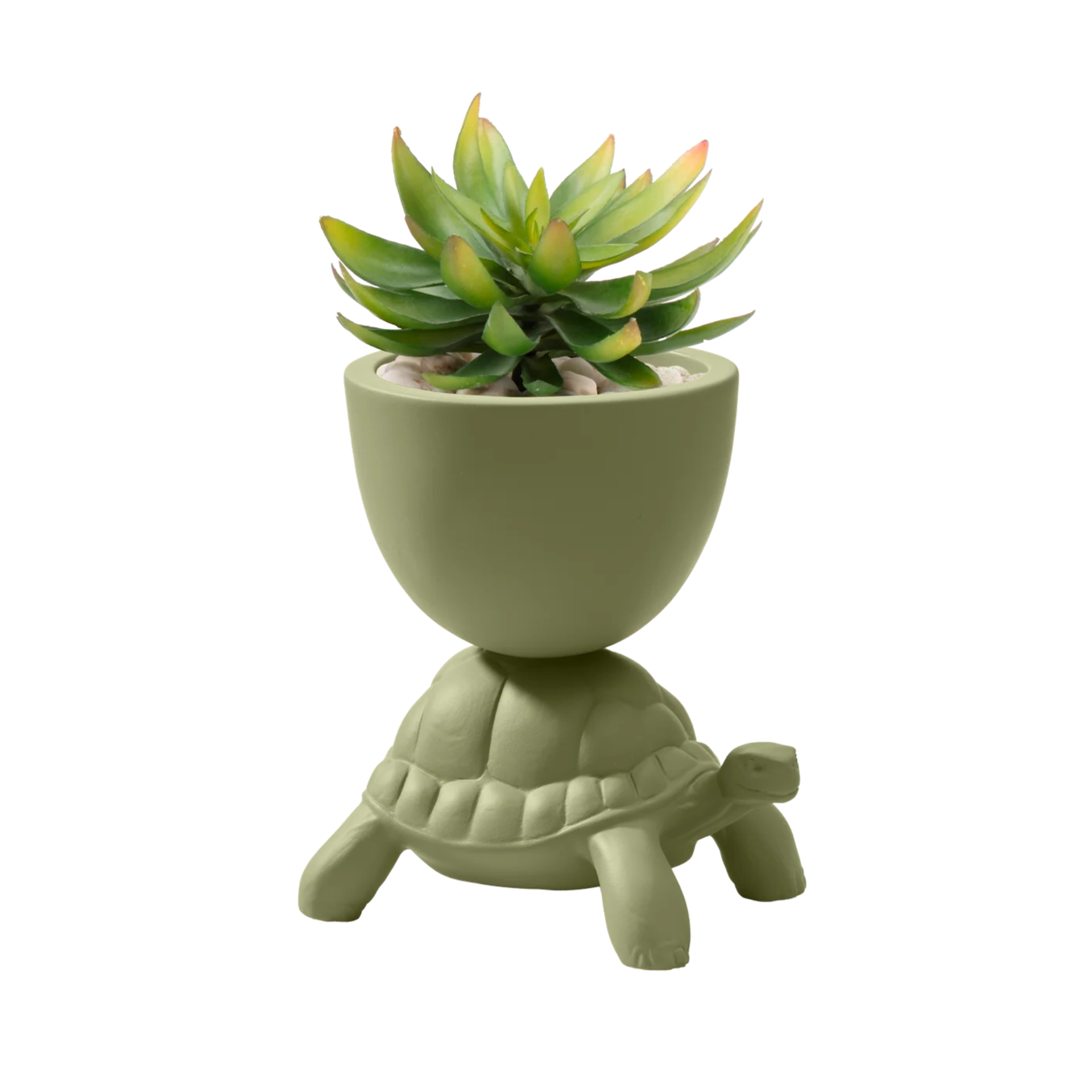 TURTLE CARRY pot green