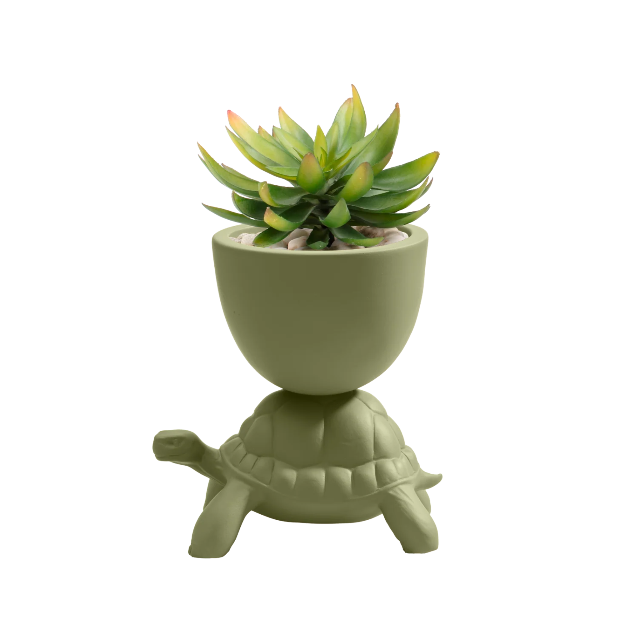 TURTLE CARRY pot green