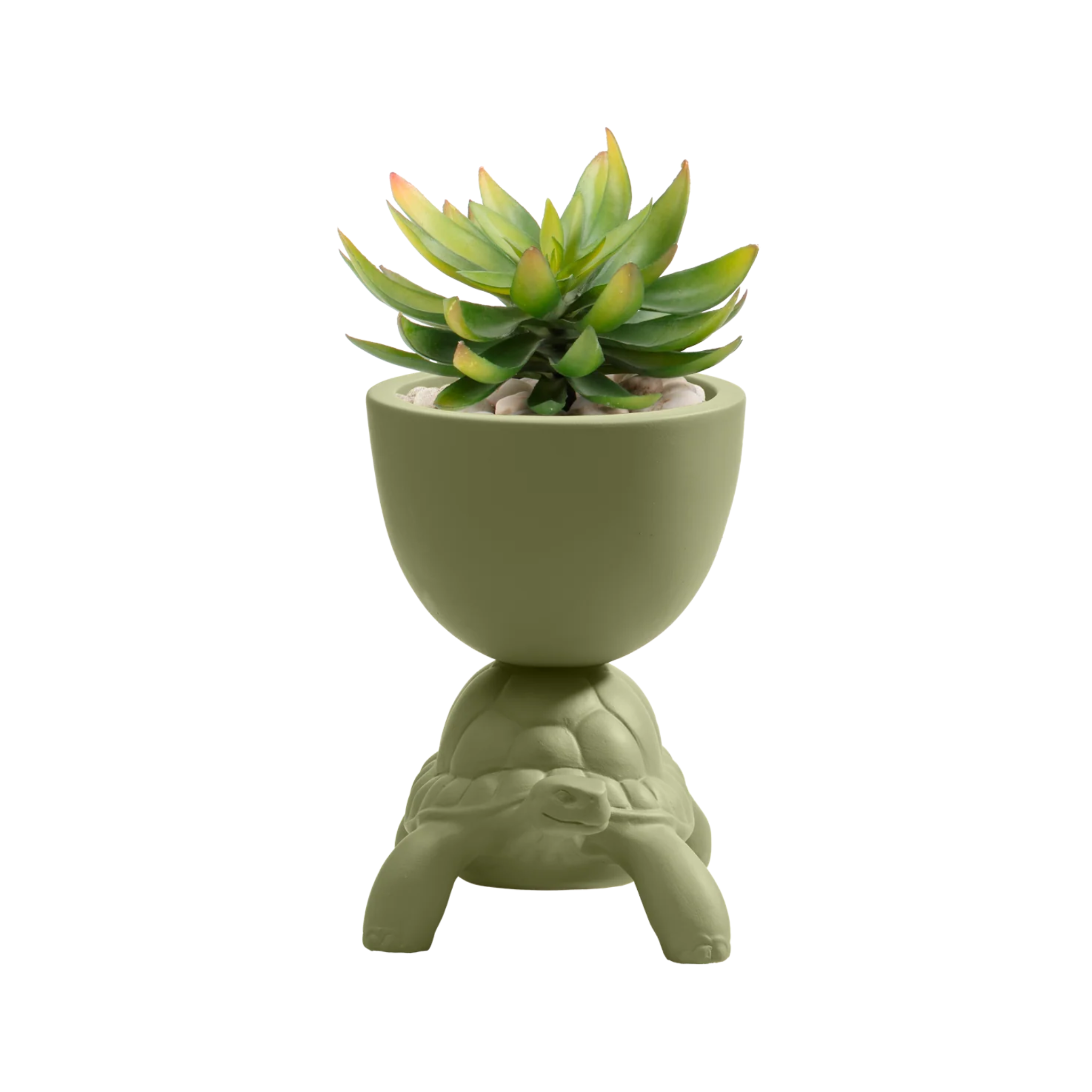 TURTLE CARRY pot green