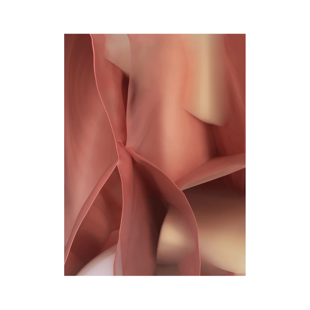 Koberec STUDIO NUCLEO růžový