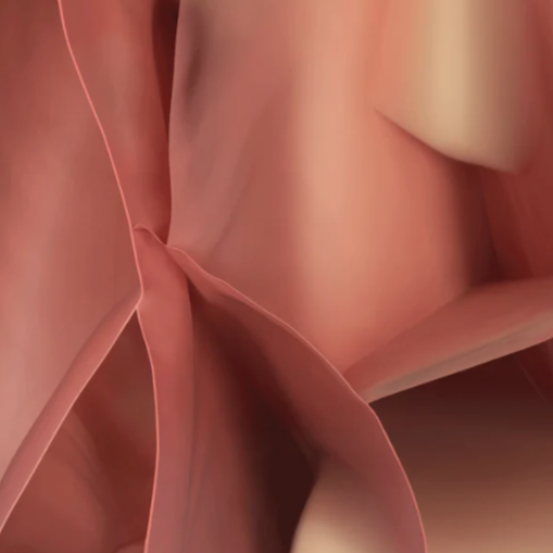 Koberec STUDIO NUCLEO růžový