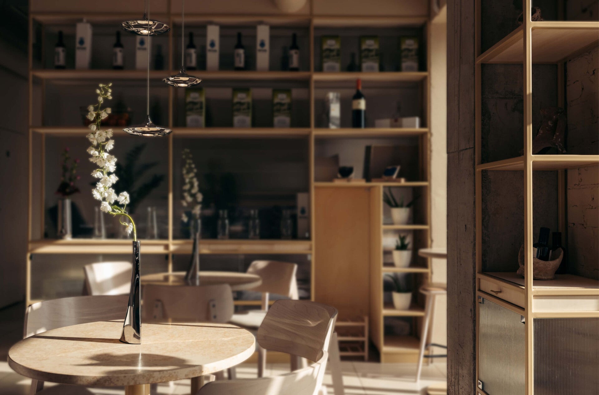 LAMPIN stainless steel pendant lamp set