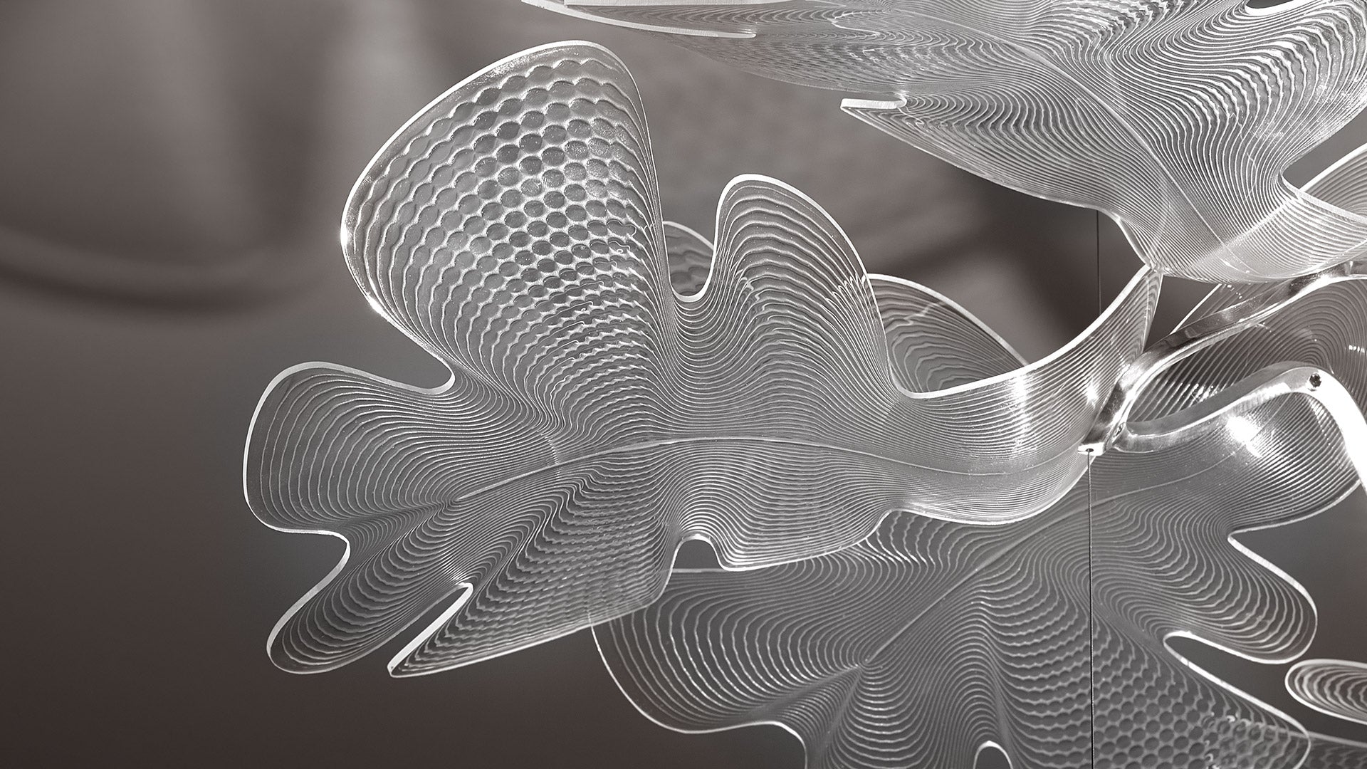 CHLOROPILIA Chrome Pendant Lamp