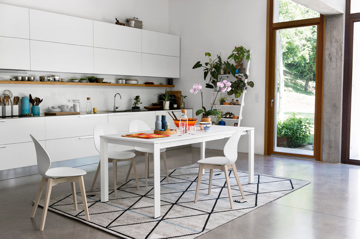 BASIL Chair with White Seat and White Wooden Base