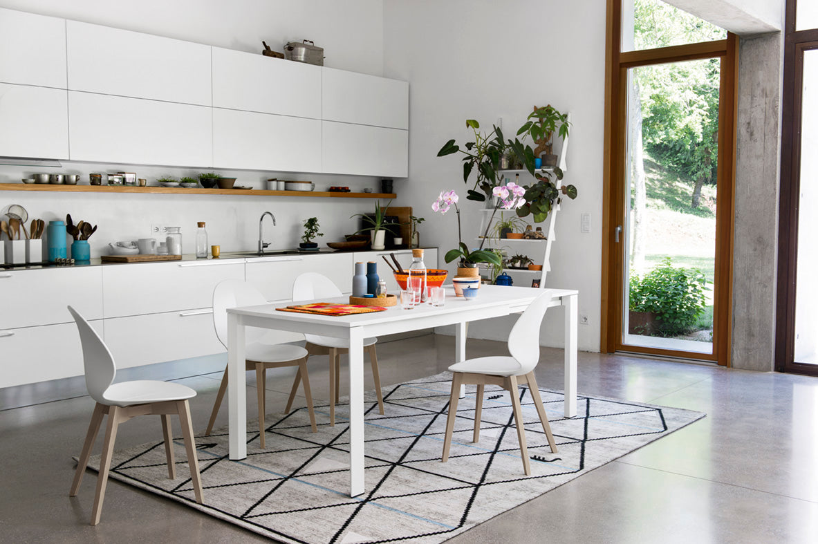 BASIL Chair with White Seat and White Wooden Base