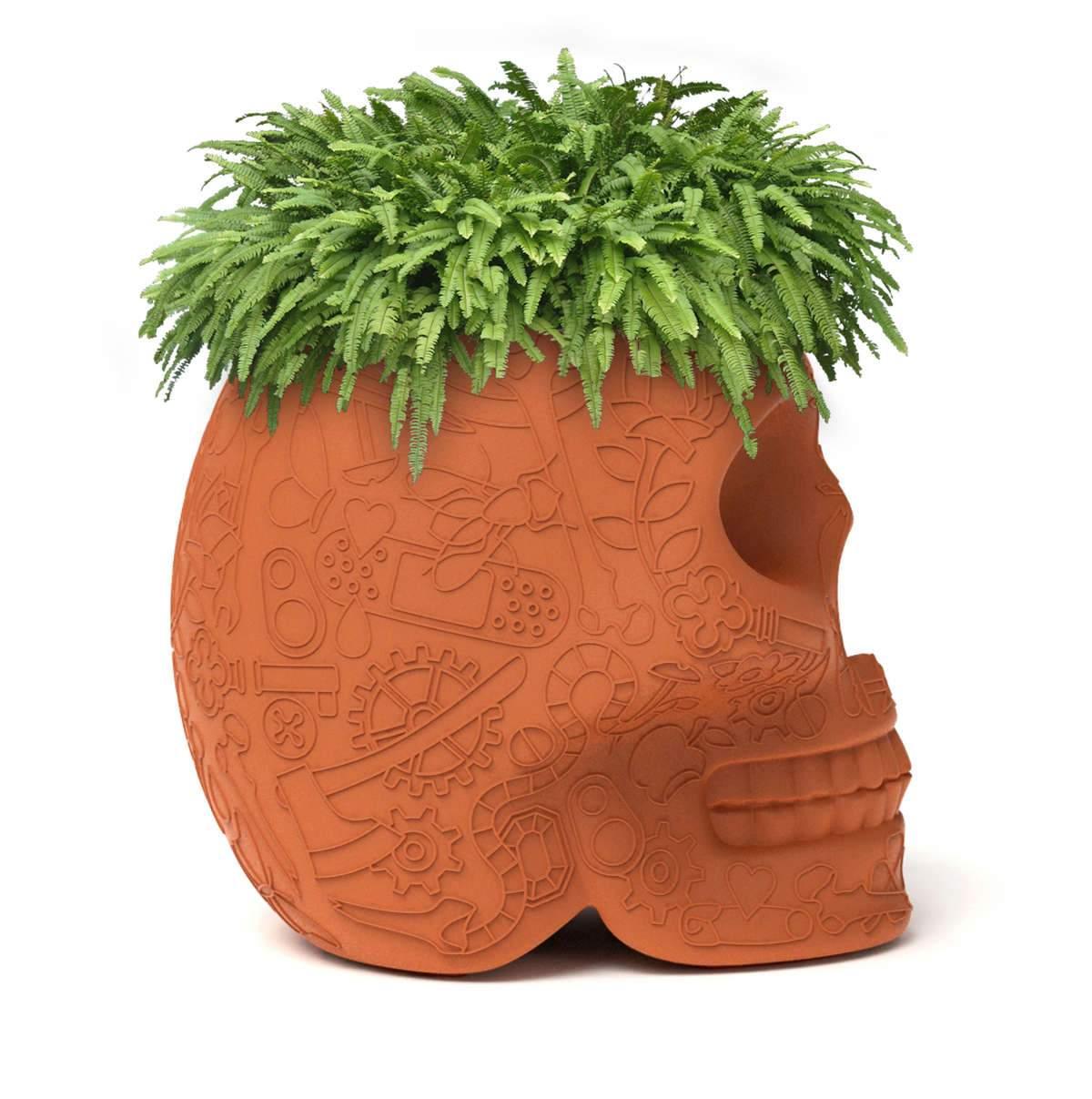 Donica MEXICO terakota Qeeboo Eye on Design