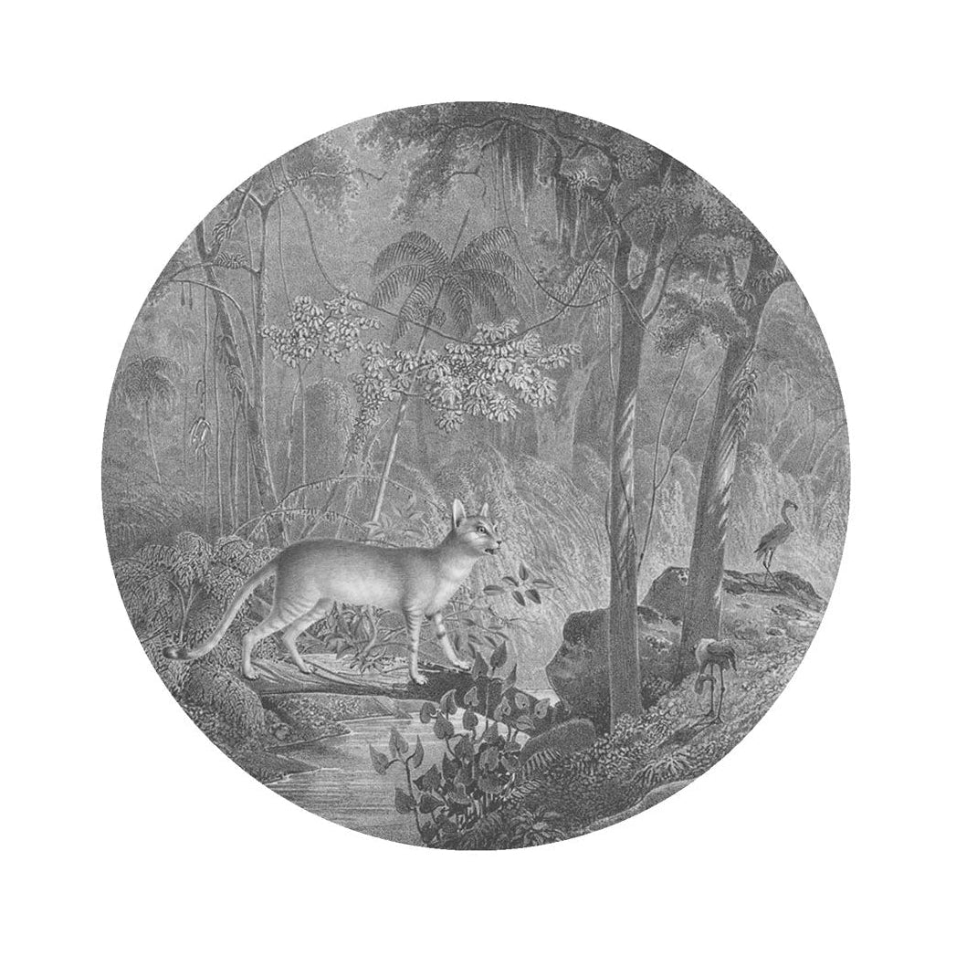 Nástěnná malba ve tvaru kruhu DOTS - JUNGLE CAT šedá