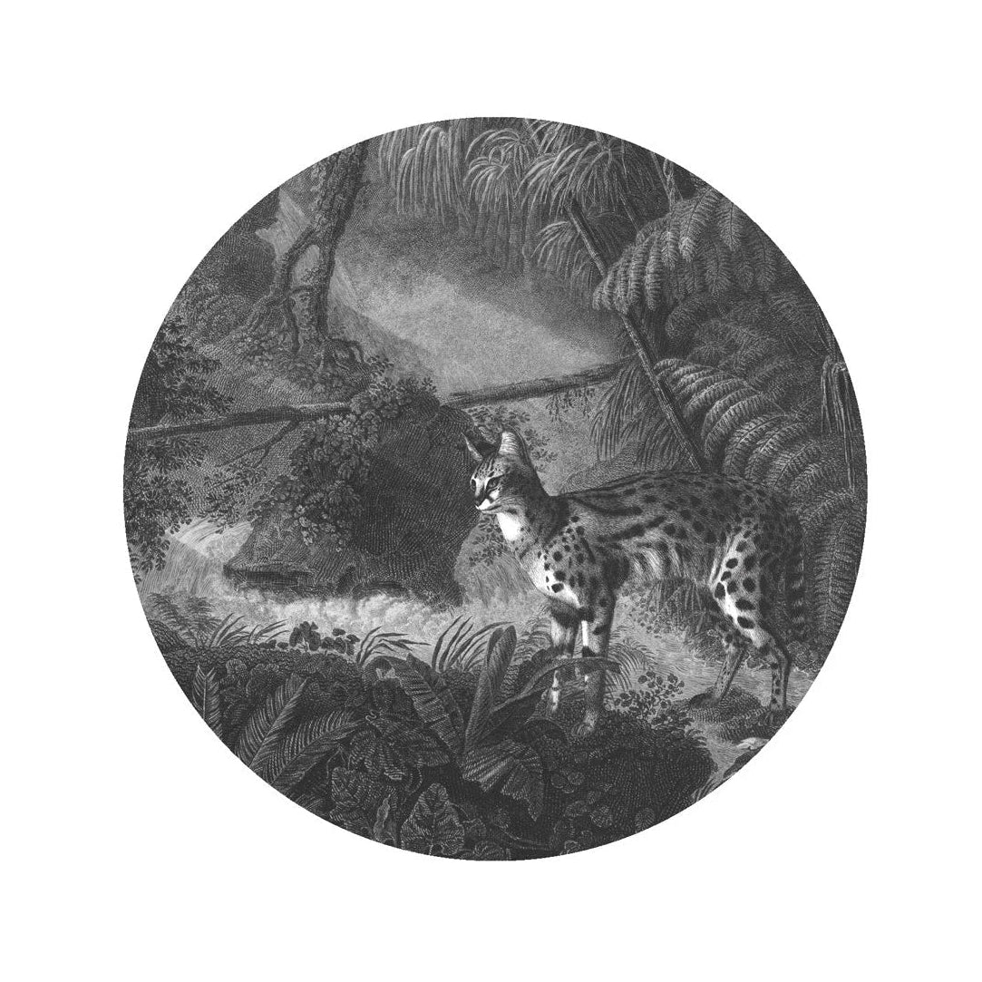 Nástěnná malba ve tvaru kruhu DOTS - PALMY A KOČKY tmavě šedá