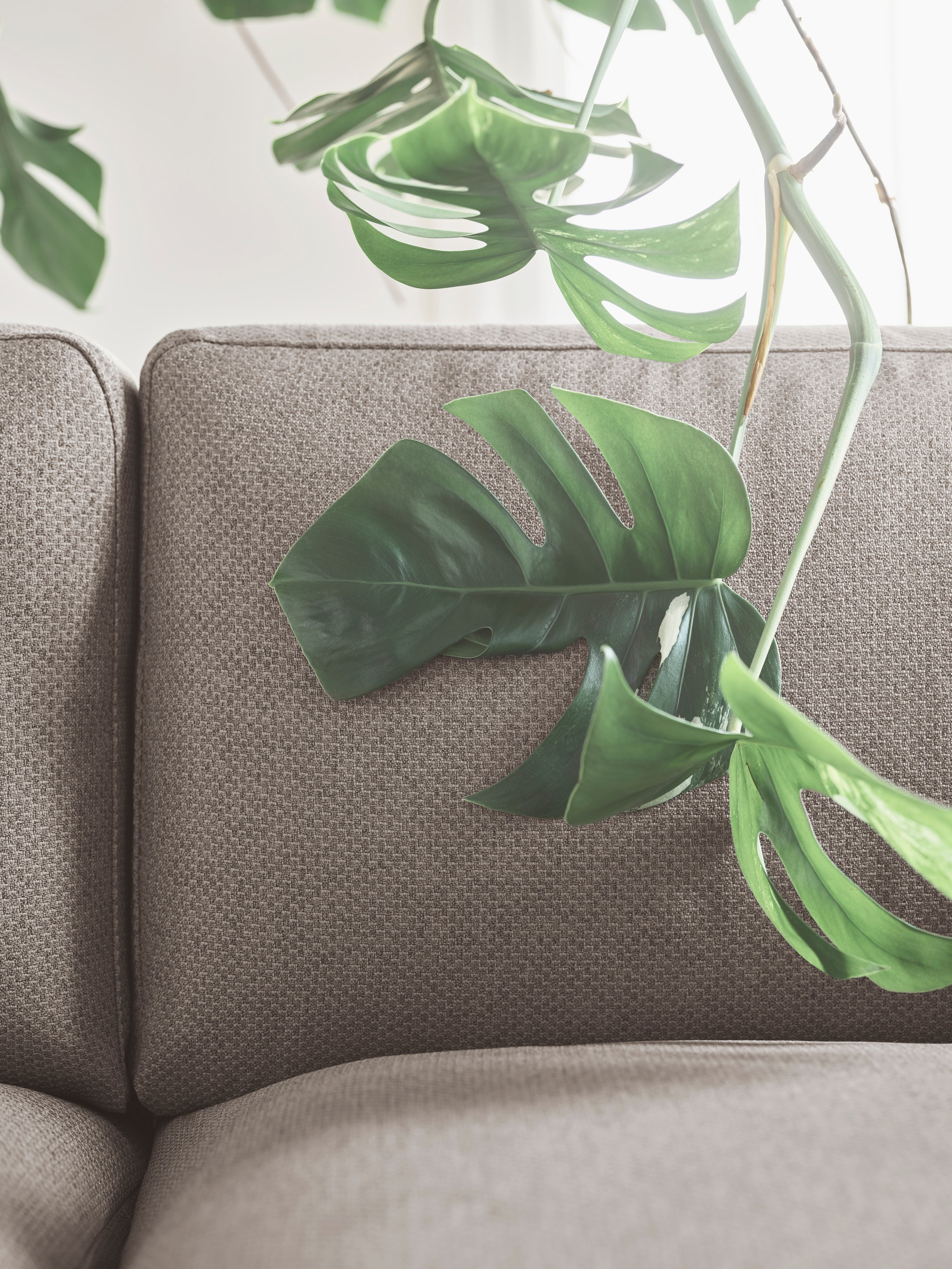 Sofa pro 2 osoby ELTON s podstavou z běleného dubového dřeva