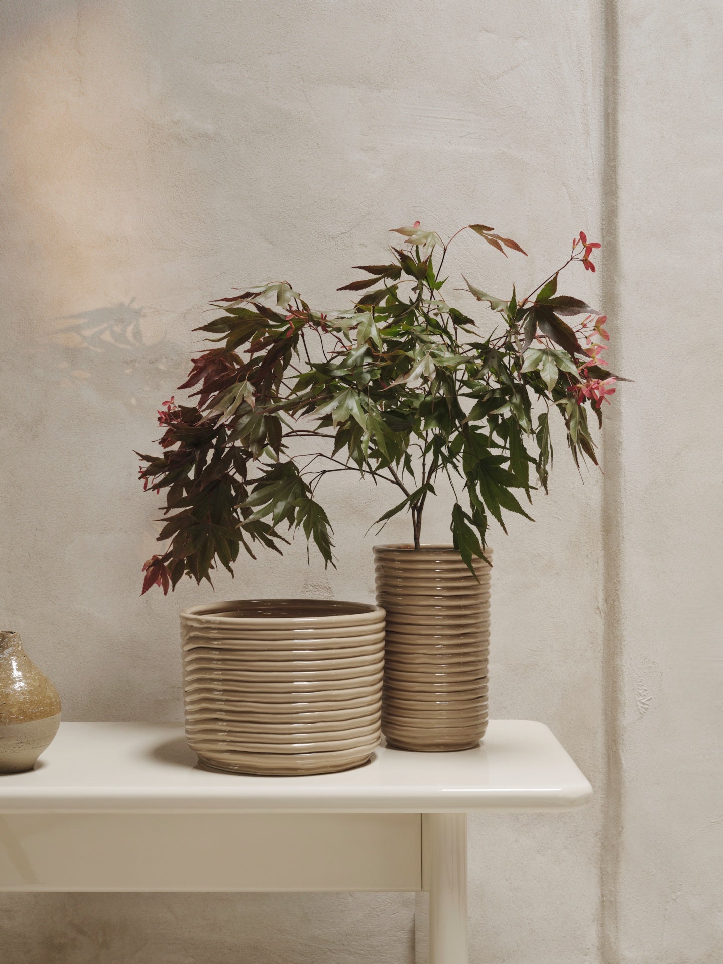 Corduroy pot beige