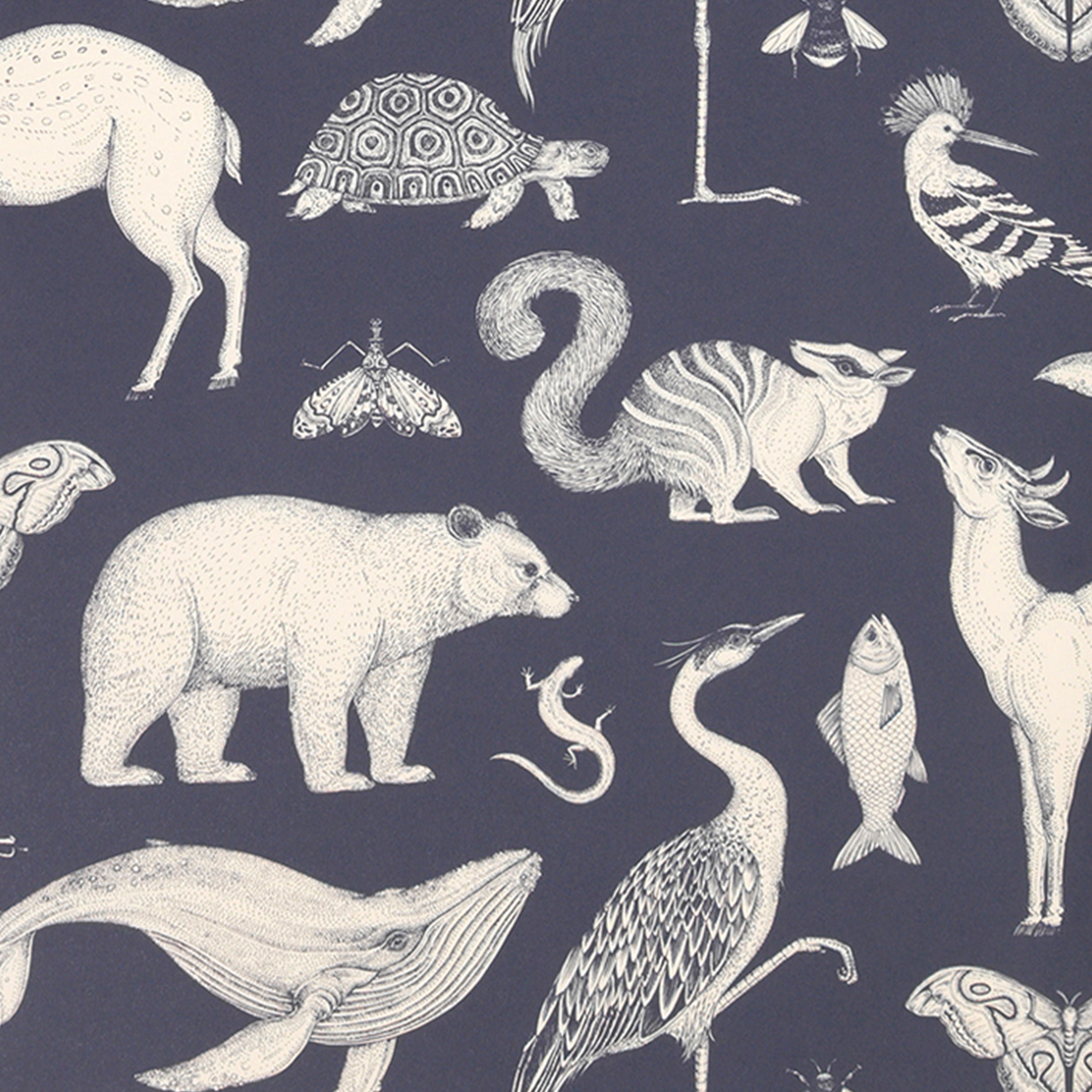 Wallpaper KATIE SCOTT - ANIMALS dark blue