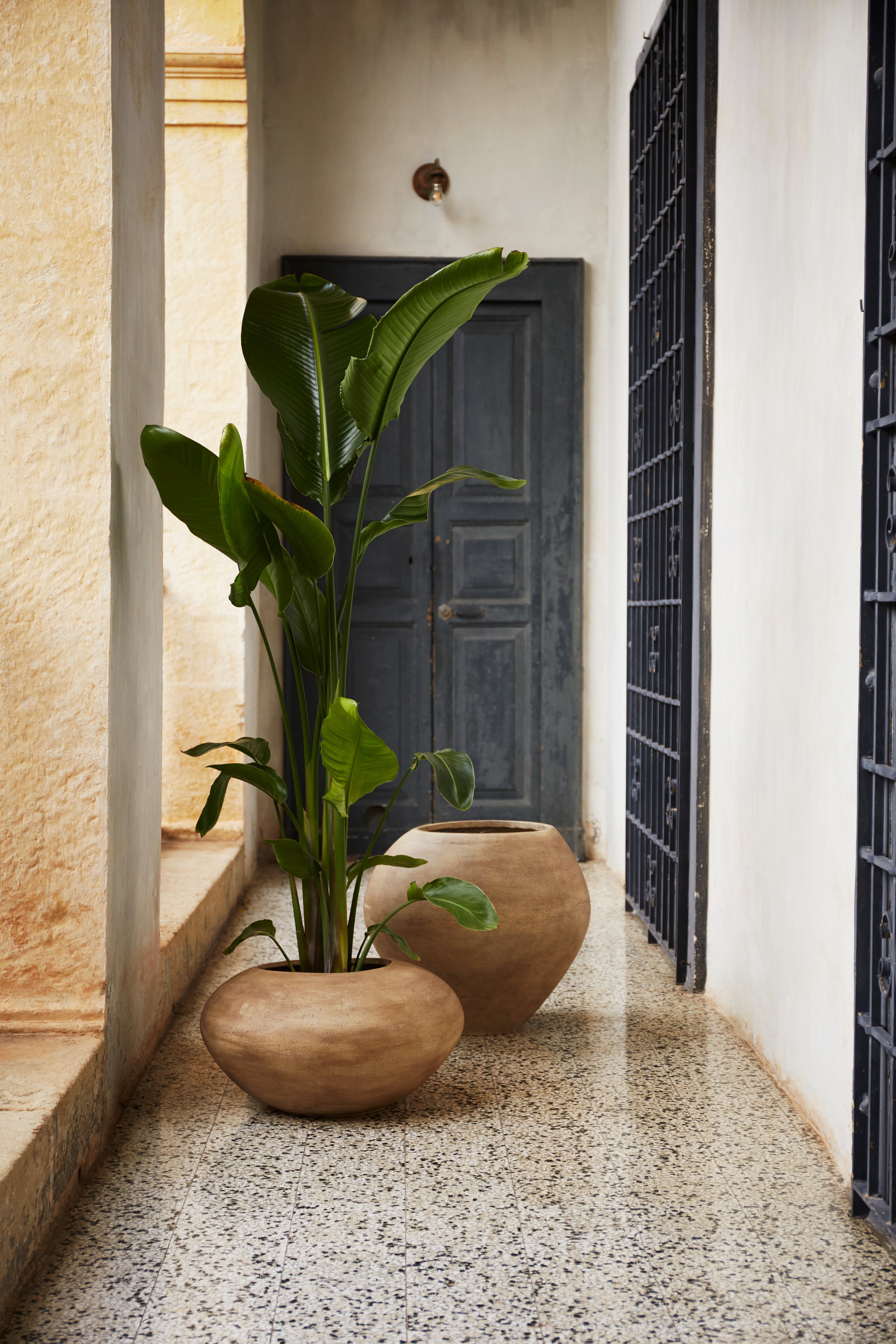 DODU TALL planter brown cement