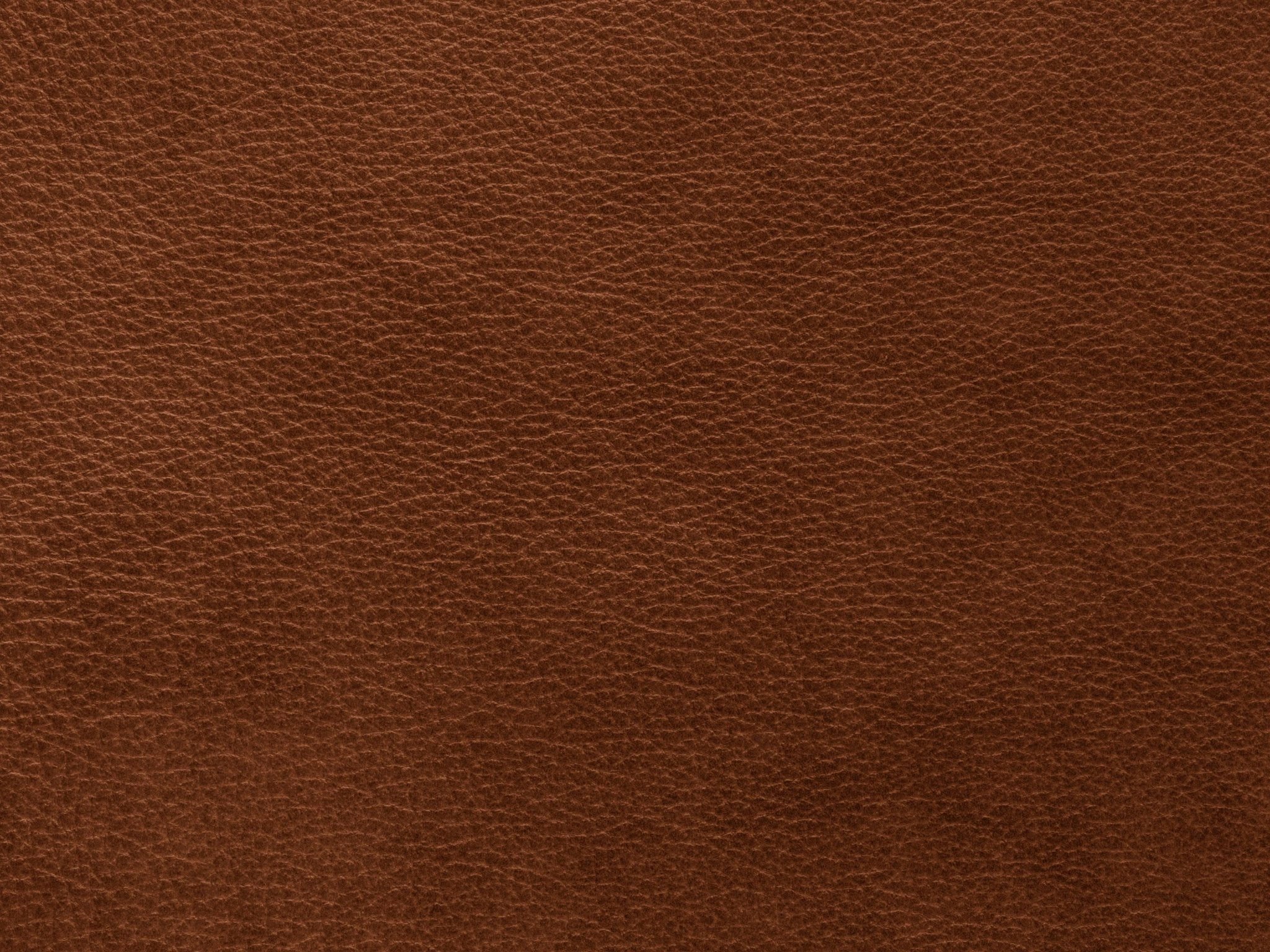 Fotel skórzany MONI brązowy Maison Heritage Eye on Design