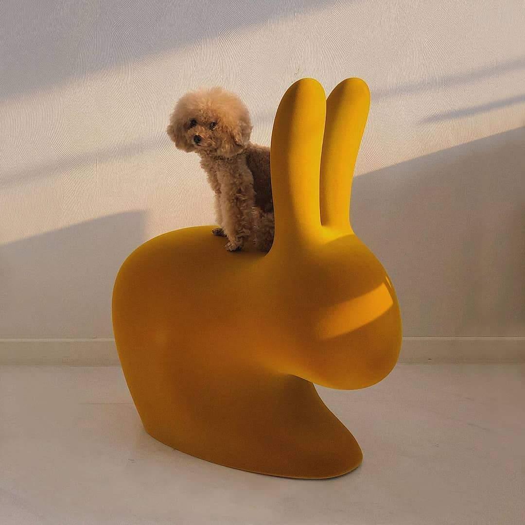 Krzesło RABBIT VELVET musztardowy Qeeboo Eye on Design