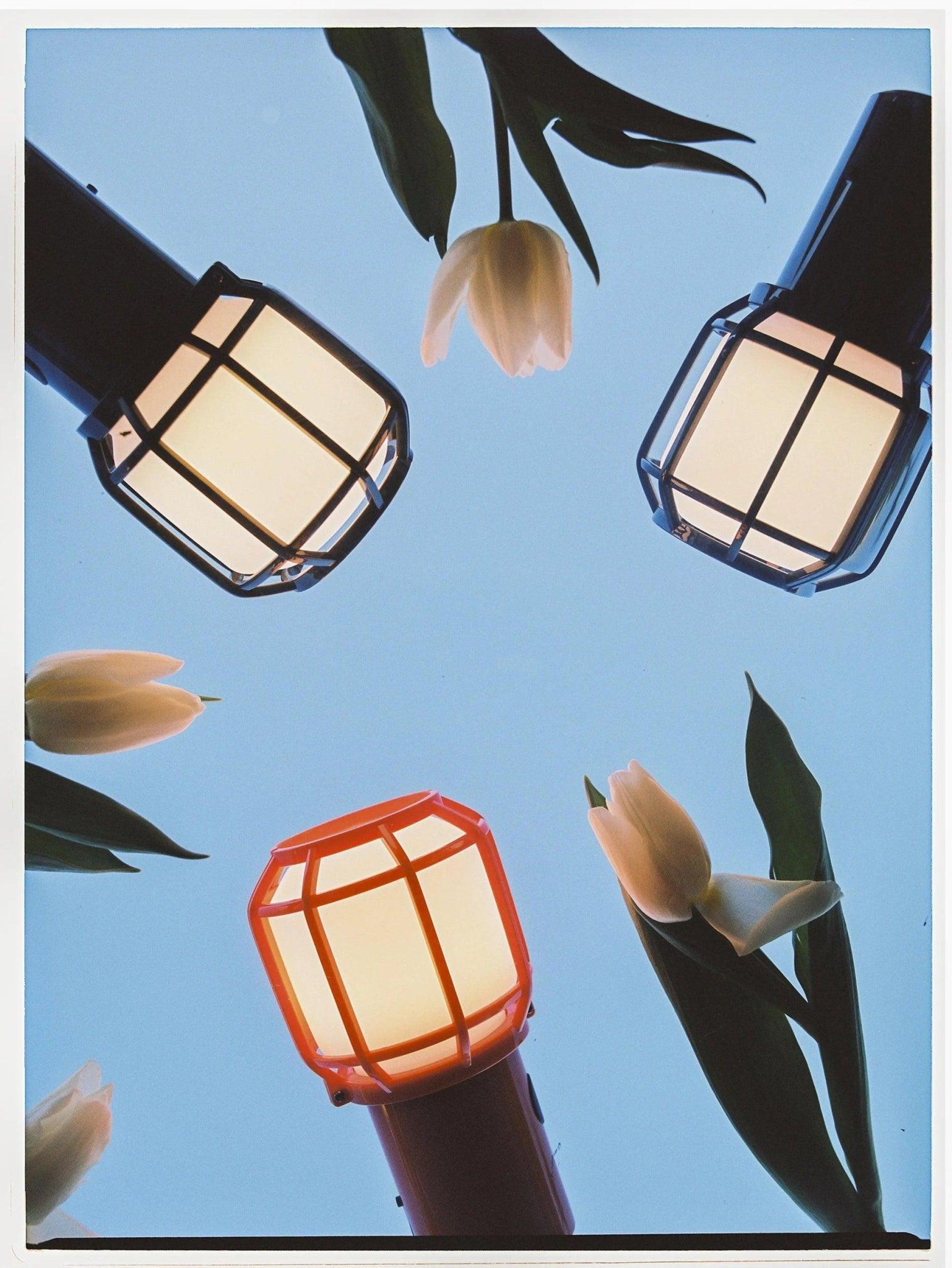 Lampa akumulatorowa CHISPA niebieski Marset Eye on Design