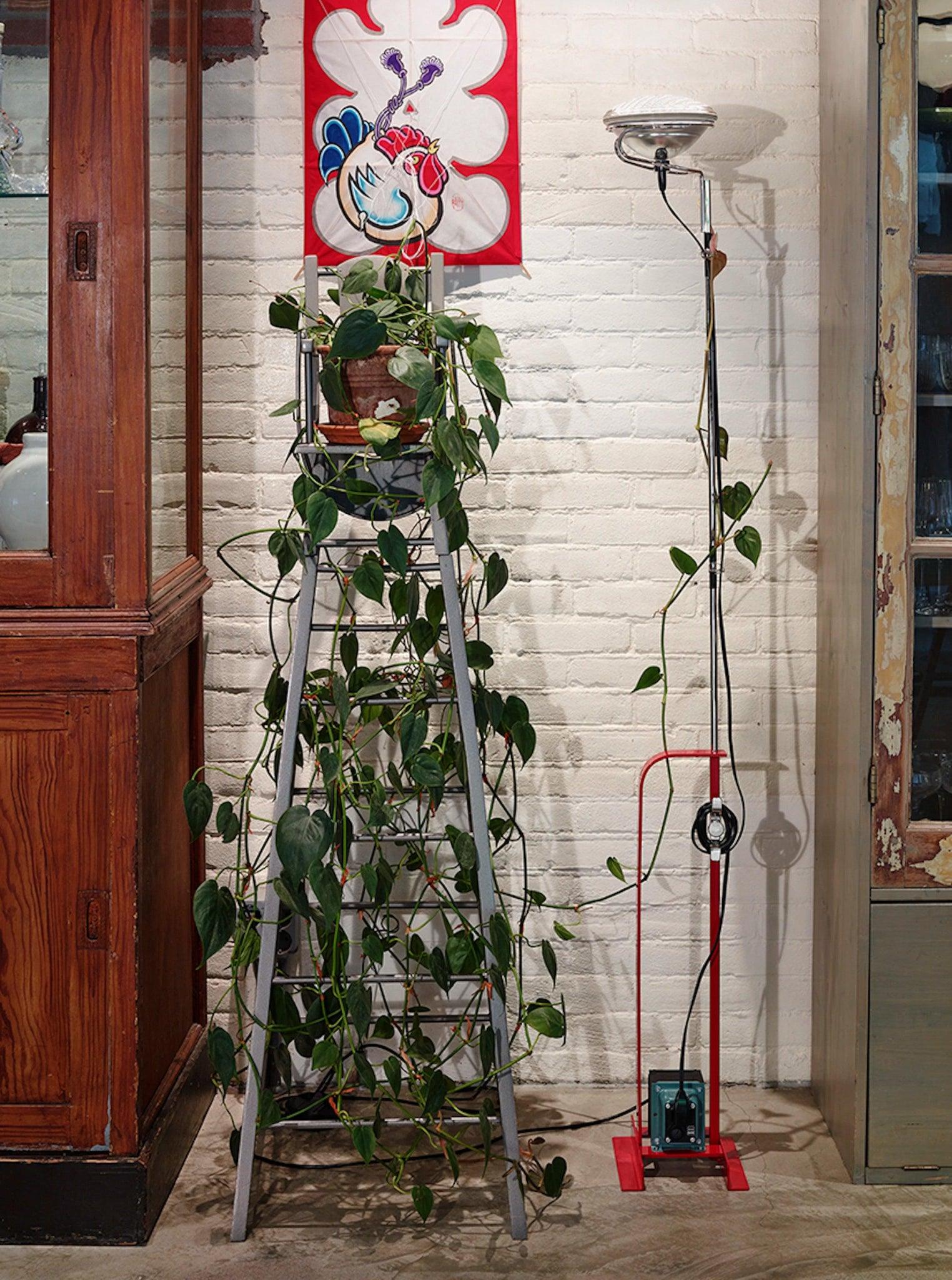 Lampa podłogowa TOIO czerwony Flos Eye on Design